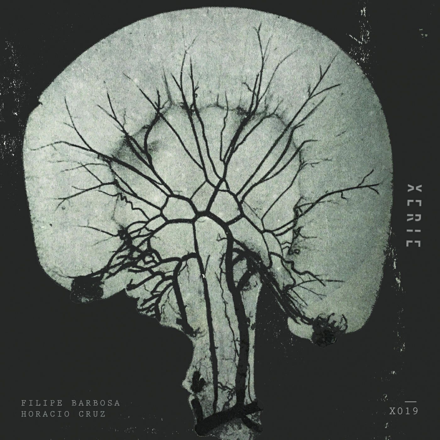 Релиз X019