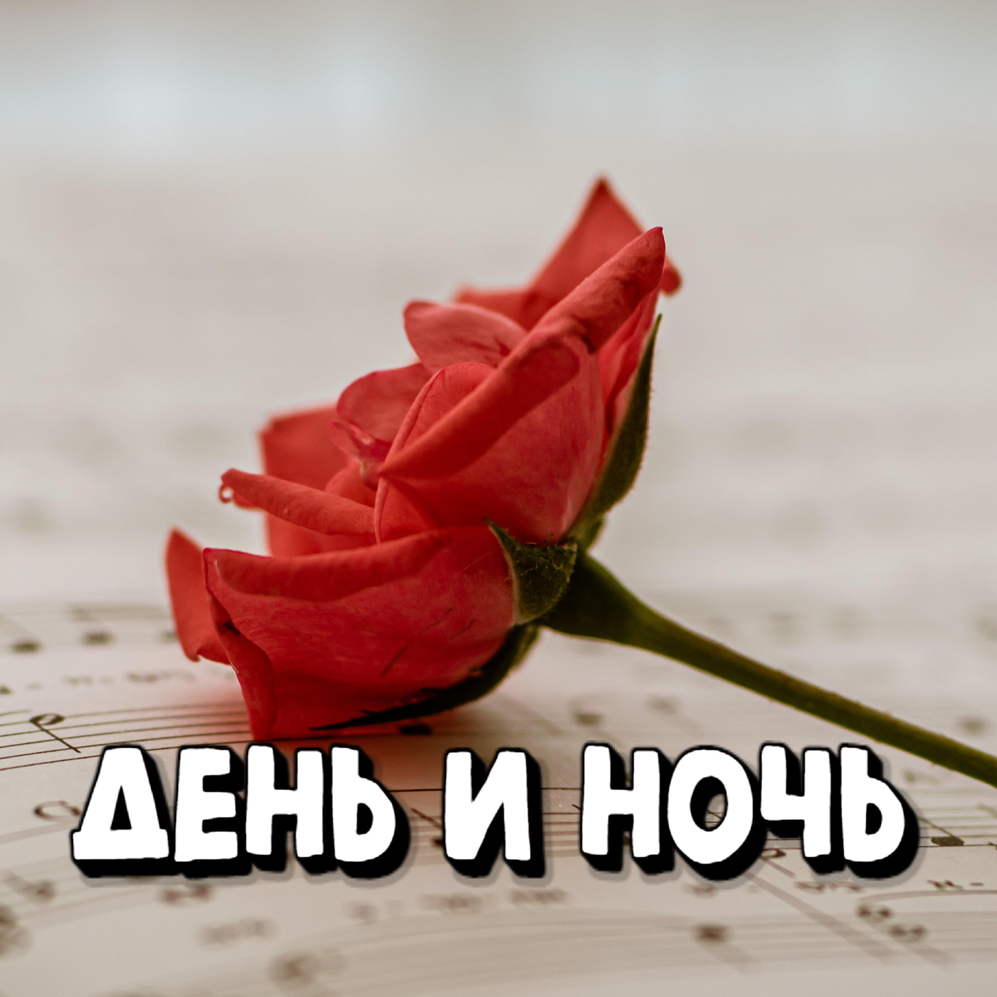 Релиз День и ночь
