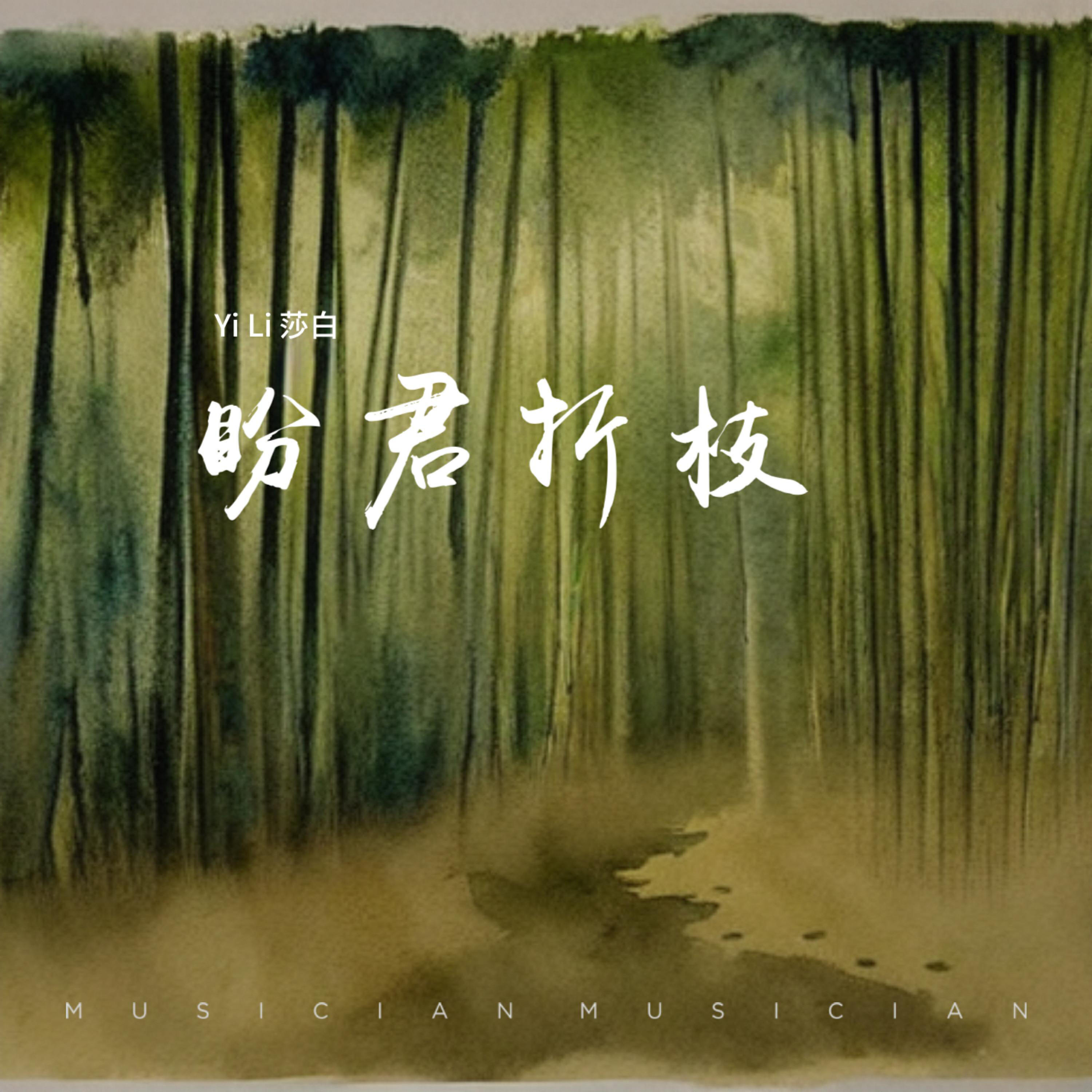Релиз 盼君折枝