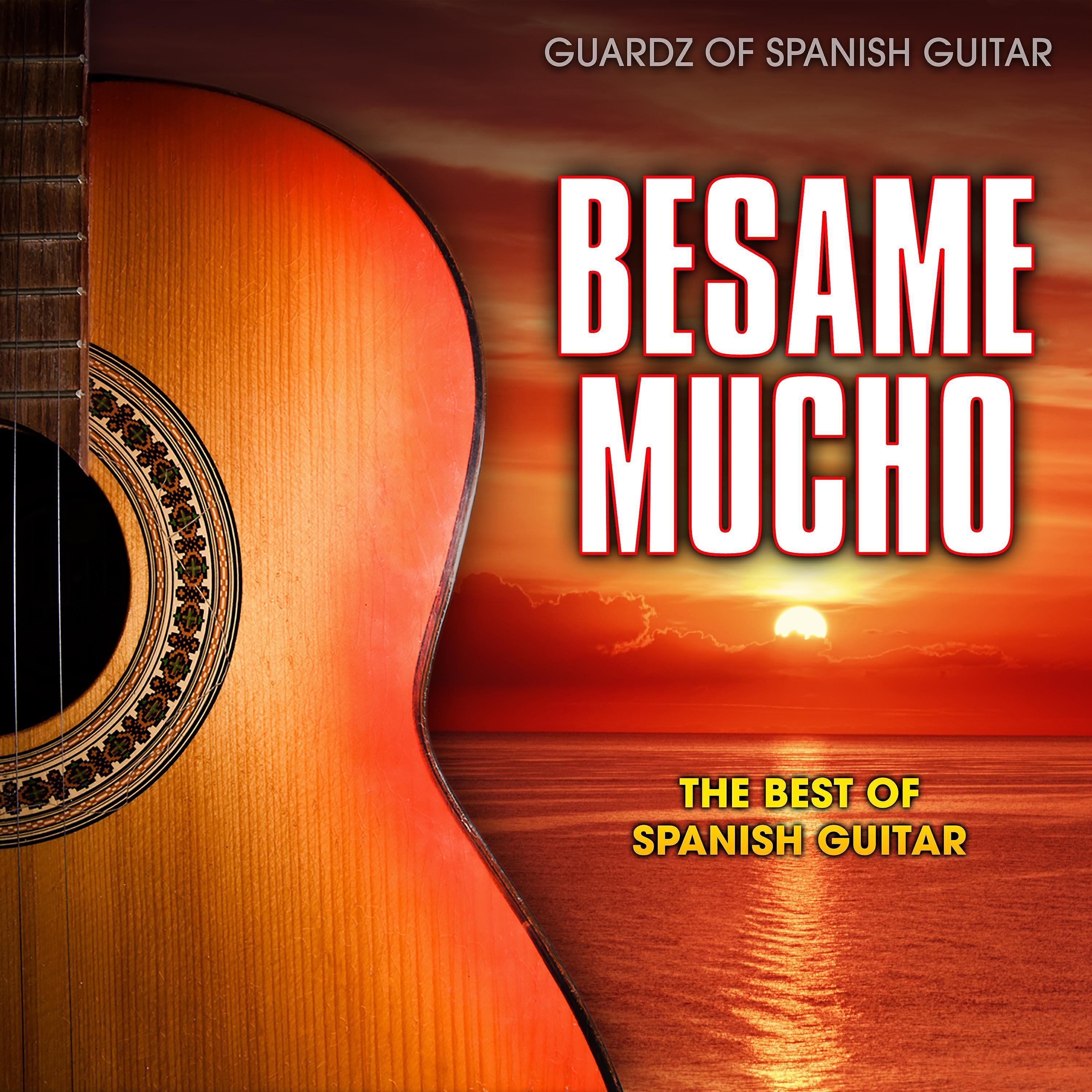 Guardz of Spanish Guitar