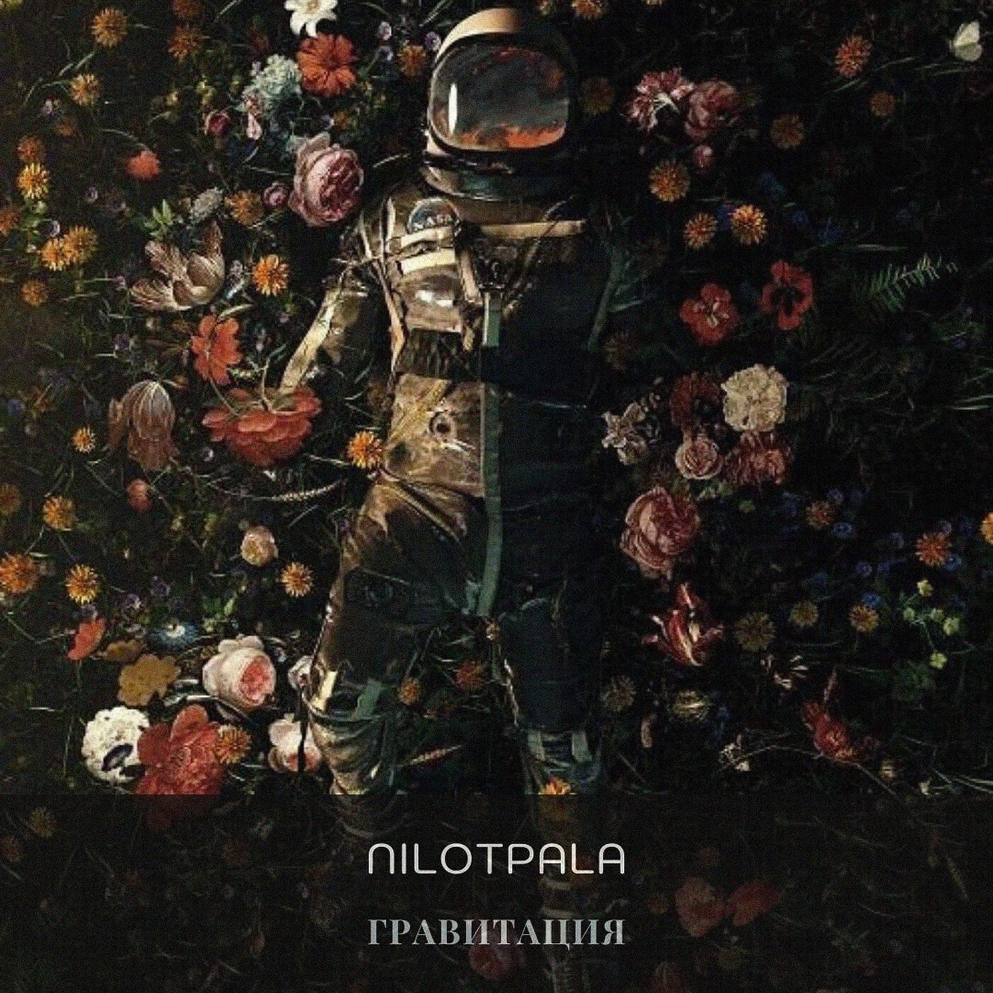 Релиз Гравитация