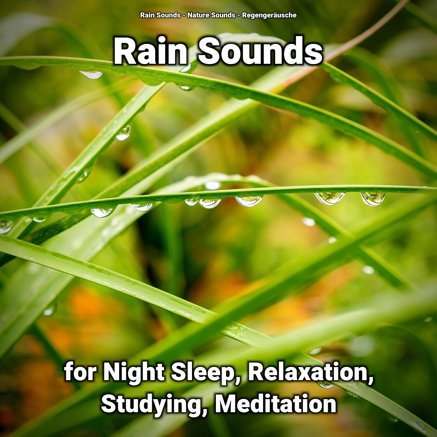 Релиз Rain Sounds for Night Sleep, Relaxation, Studying, Meditation