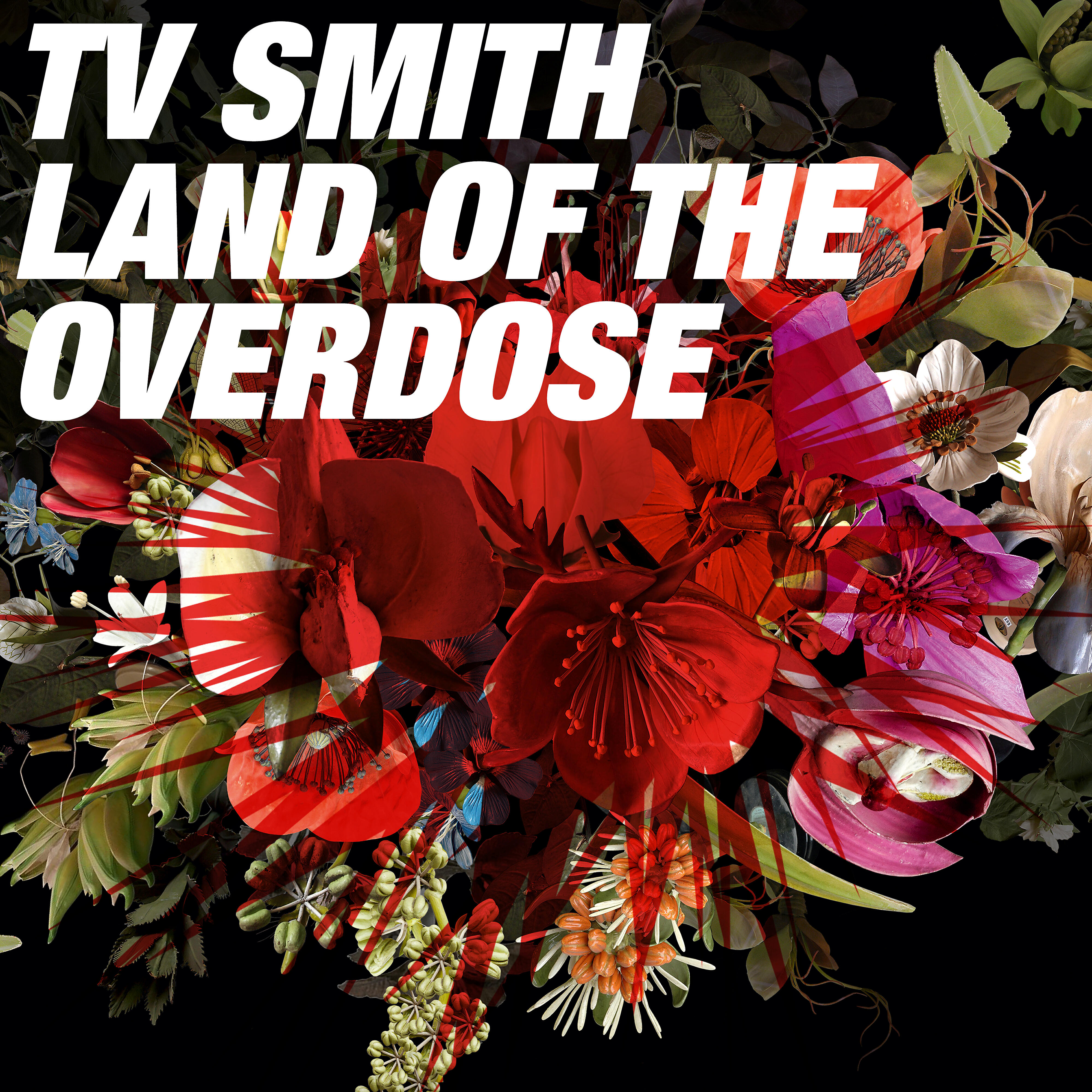 Релиз Land of the Overdose