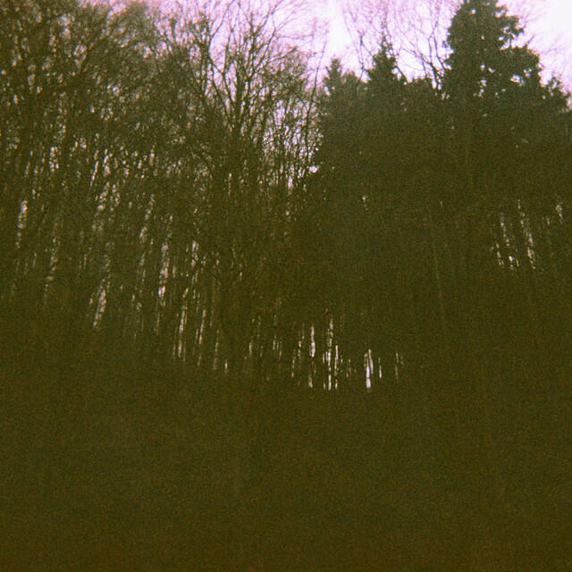 Релиз Elm