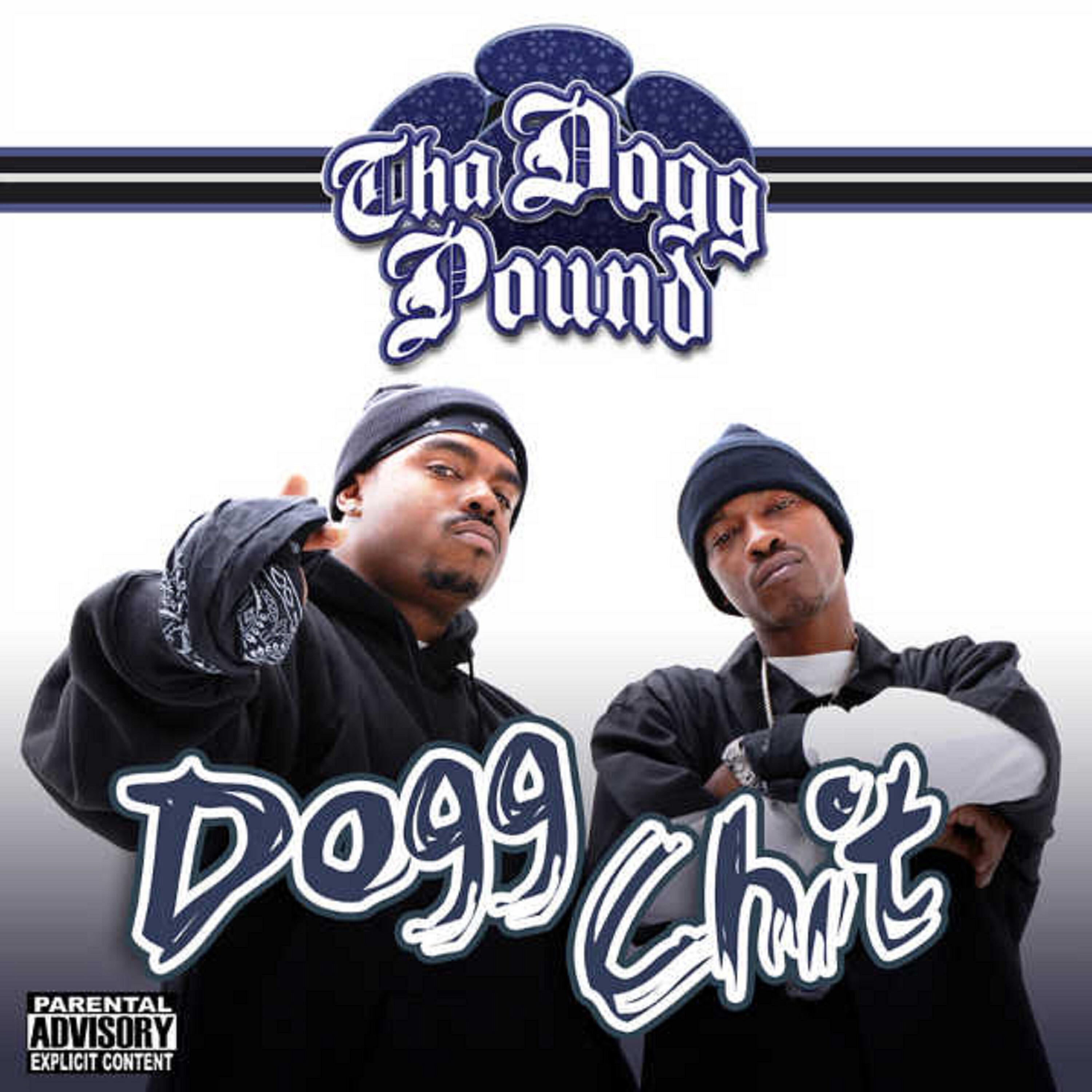Скачать песню Snoop Dogg, Tha Dogg Pound - Vibe бесплатно в MP3 для Android и iOS