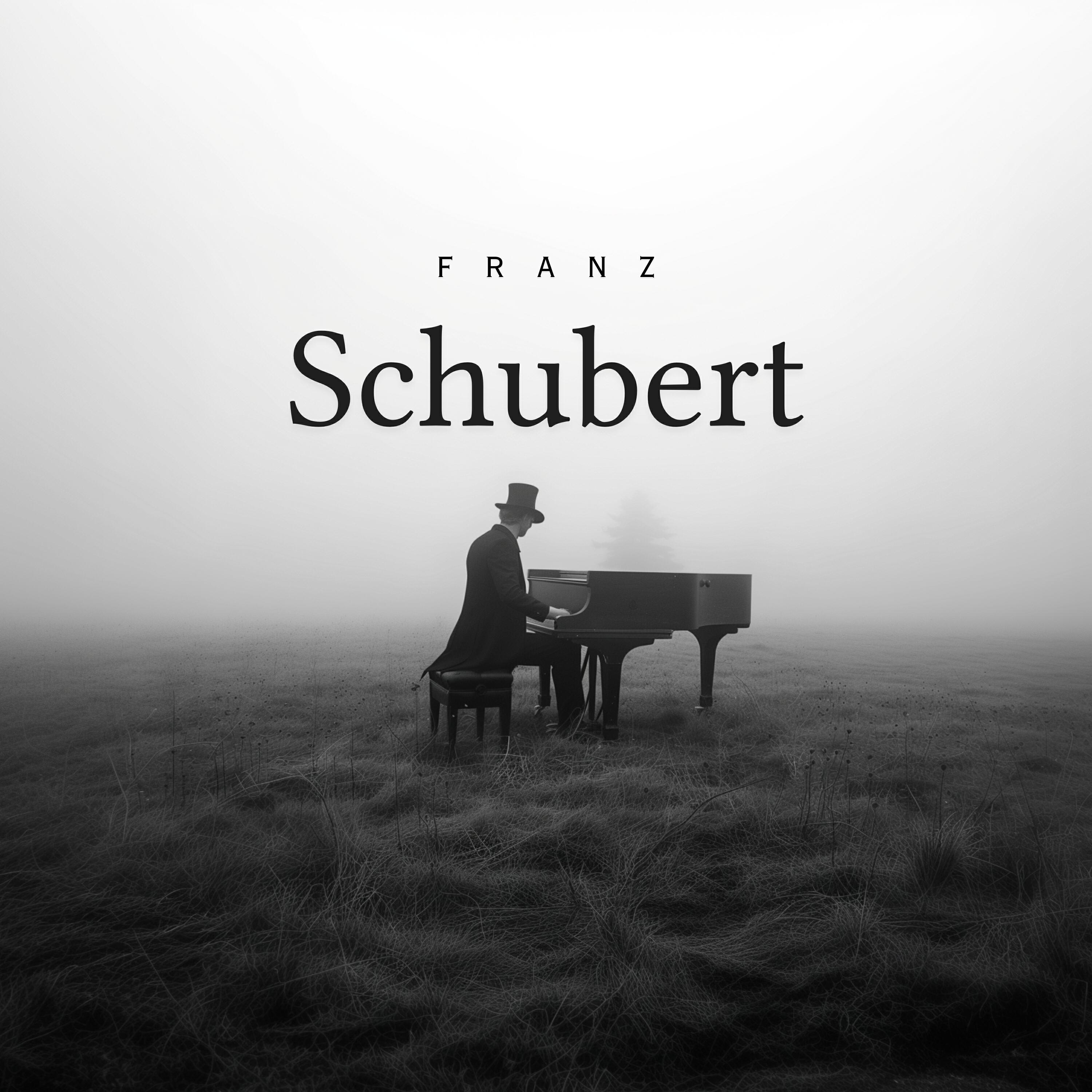 Релиз Franz Schubert