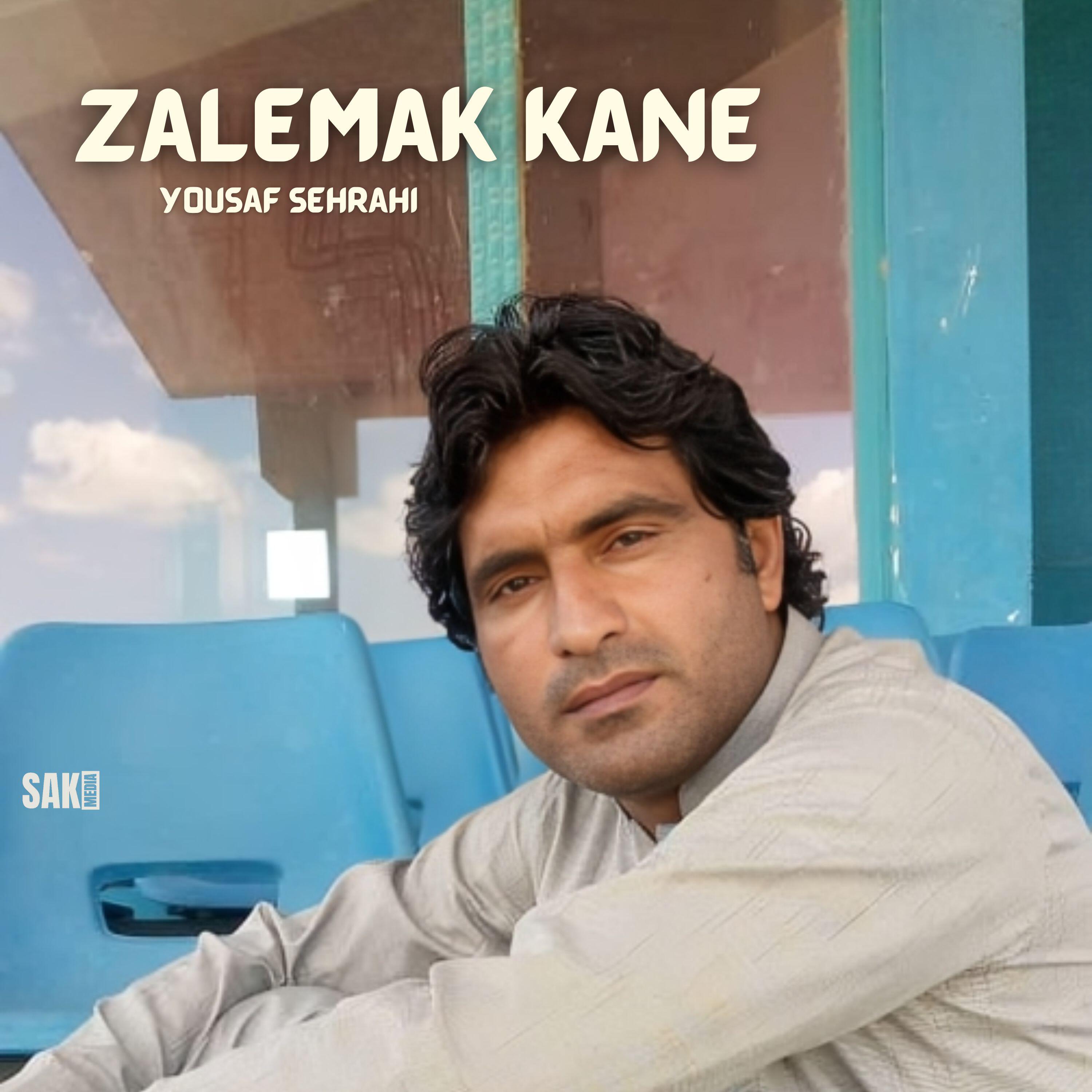 Релиз Zalemak Kane