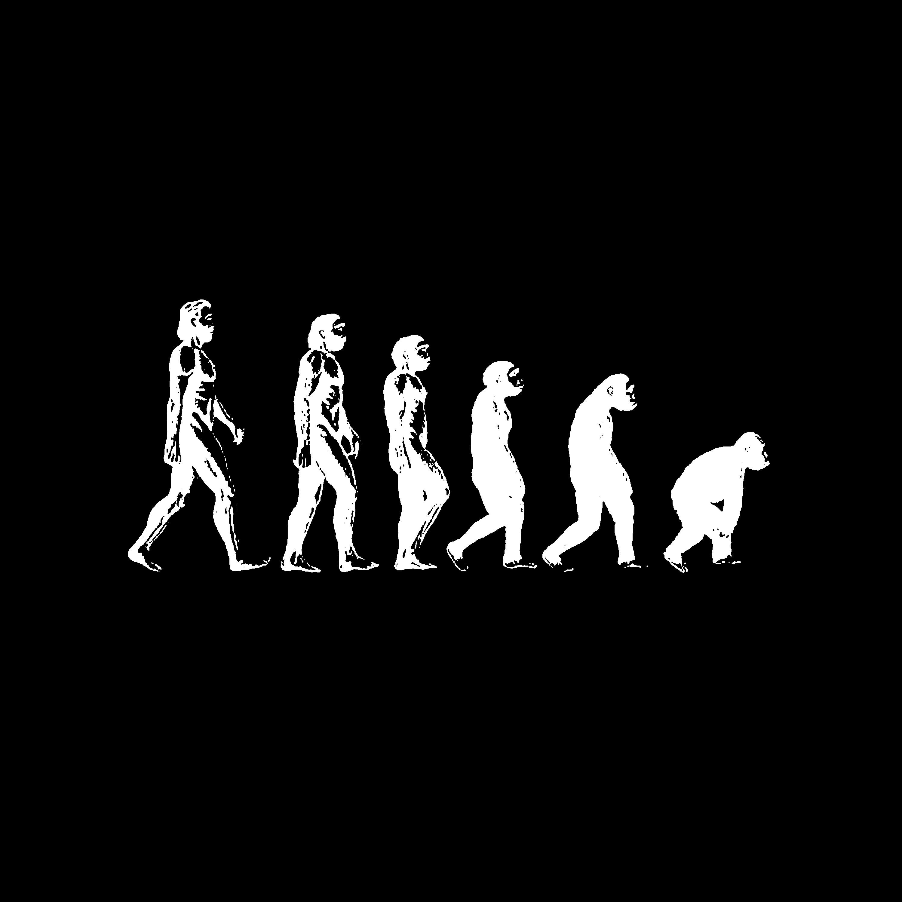 Релиз Evo
