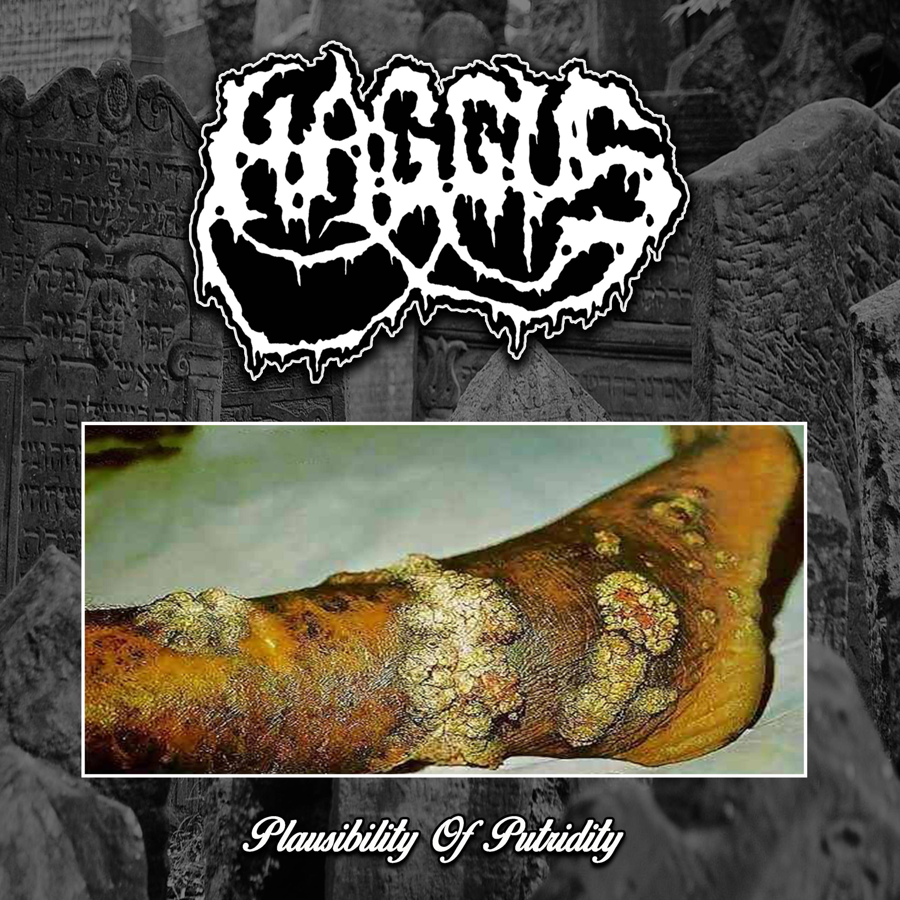Релиз Plausibility Of Putridity