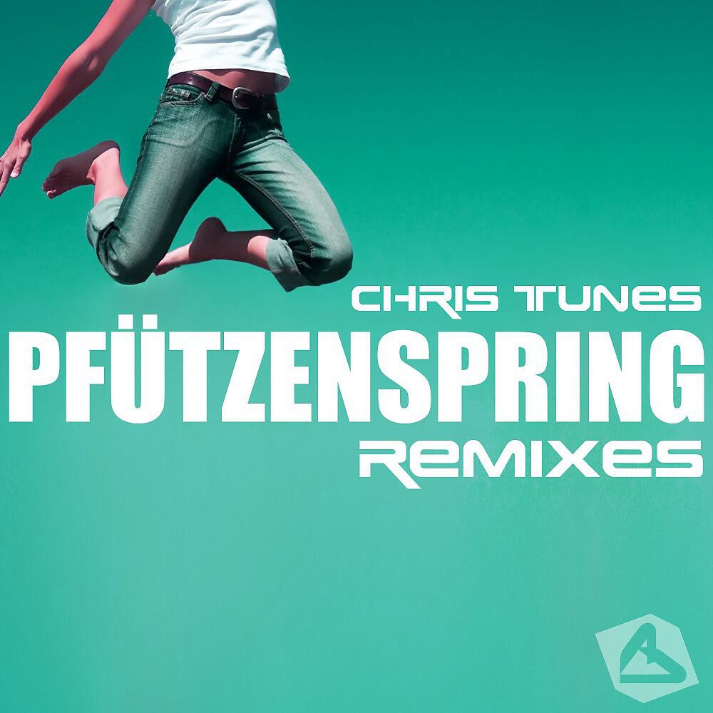 Релиз Pfützenspring - Remixes