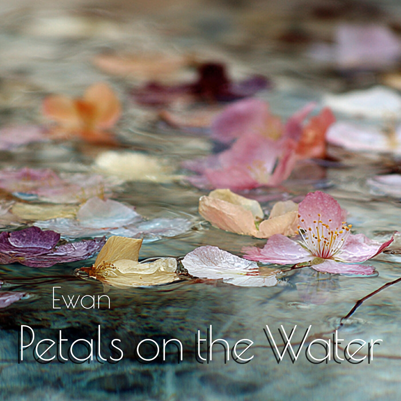 Релиз Petals on the Water (Instrumental)