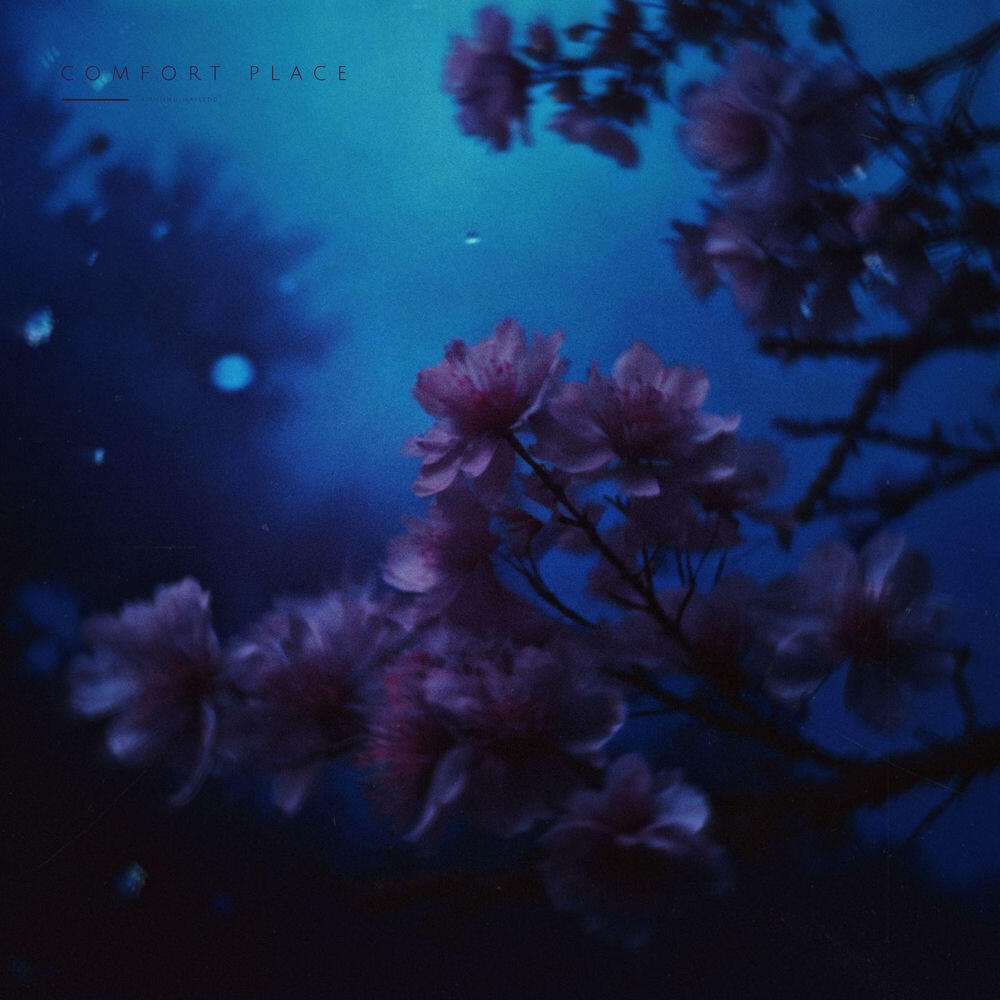 Релиз comfort place
