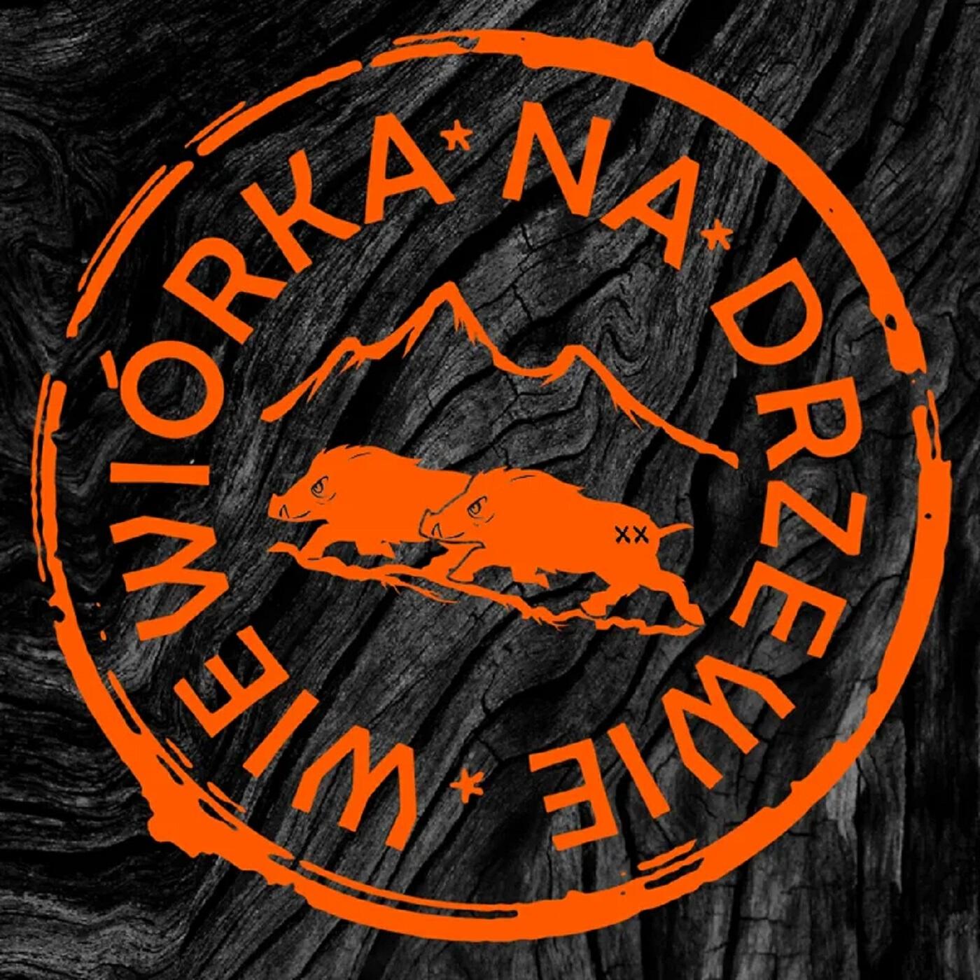 Wiewiórka na Drzewie