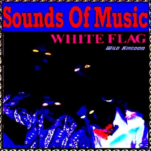 Постер альбома Sounds of Music pres. White Flag