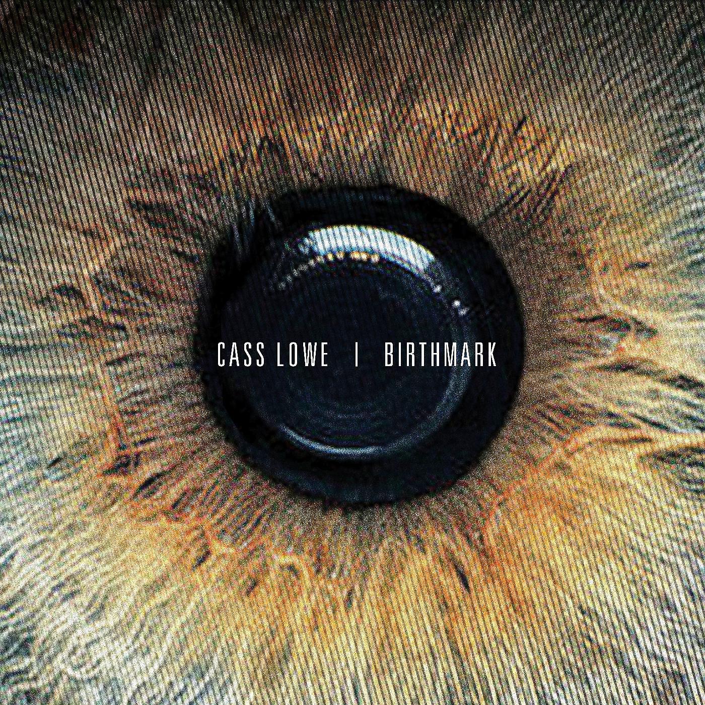 Релиз Birthmark