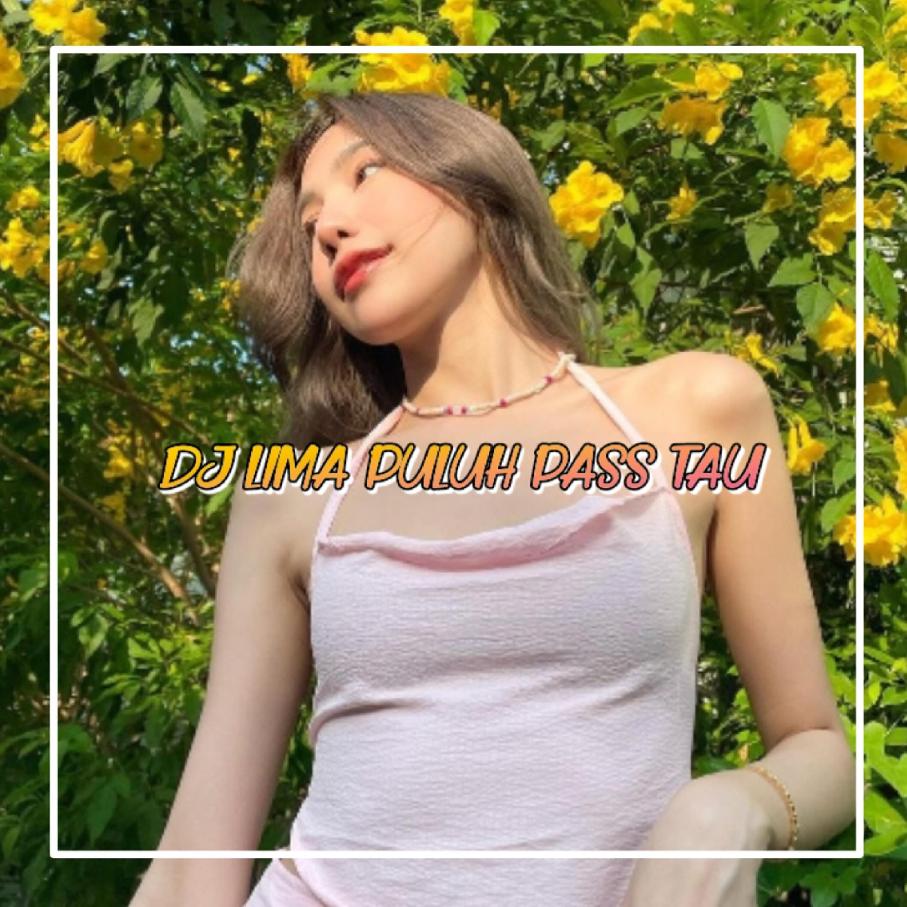 Релиз DJ Lima Puluh Pass Tau