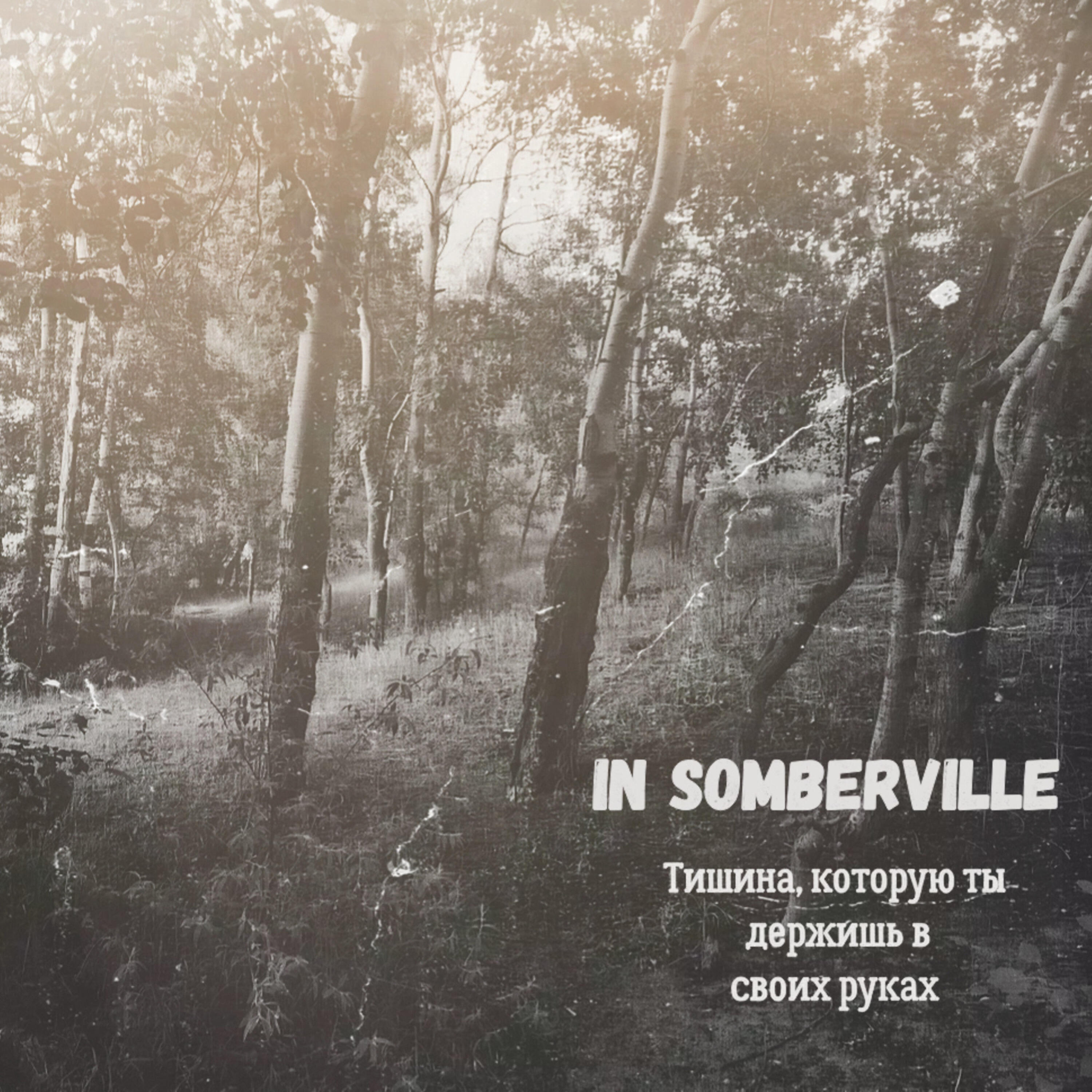 Трек Тишина, которую ты держишь в своих руках