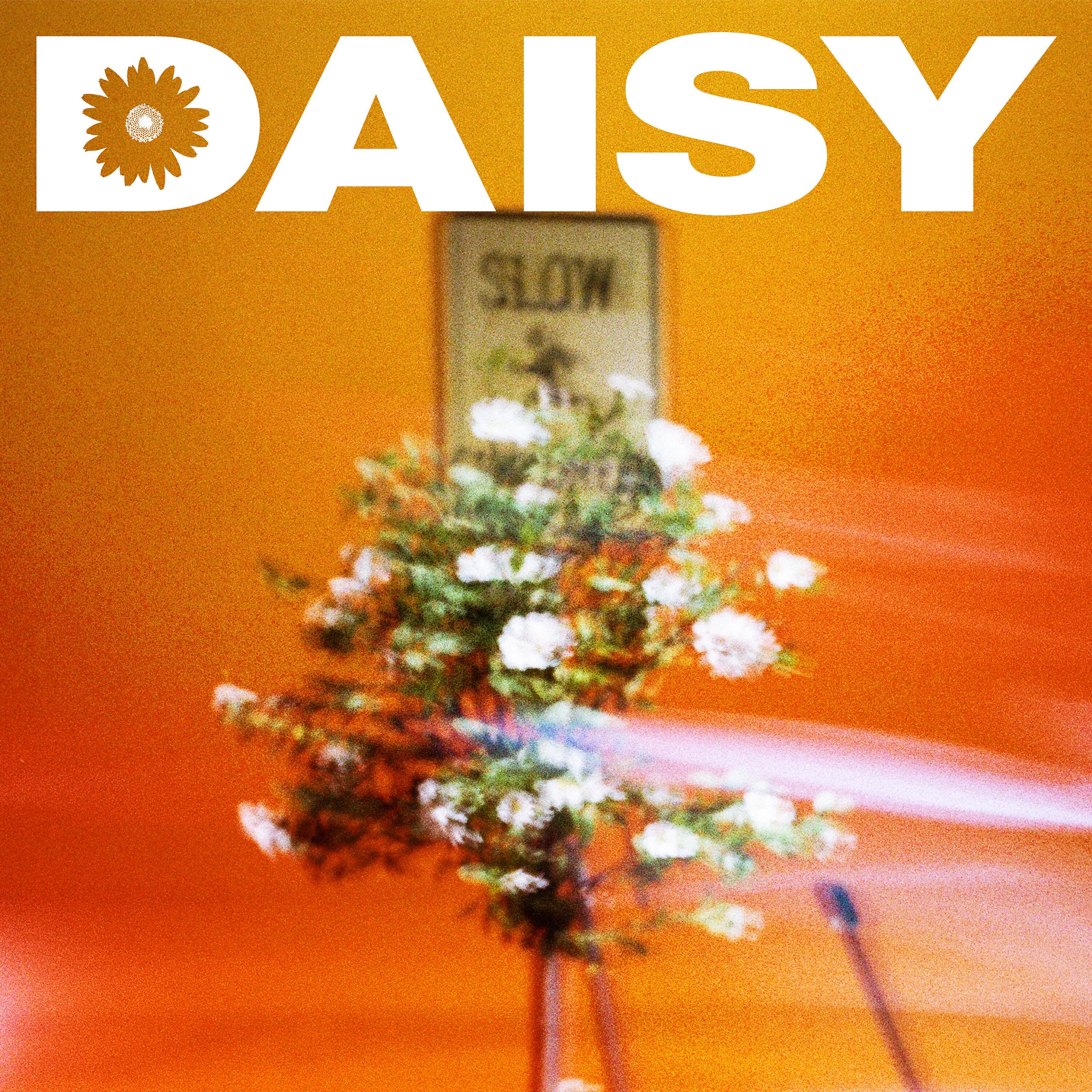 Релиз Daisy