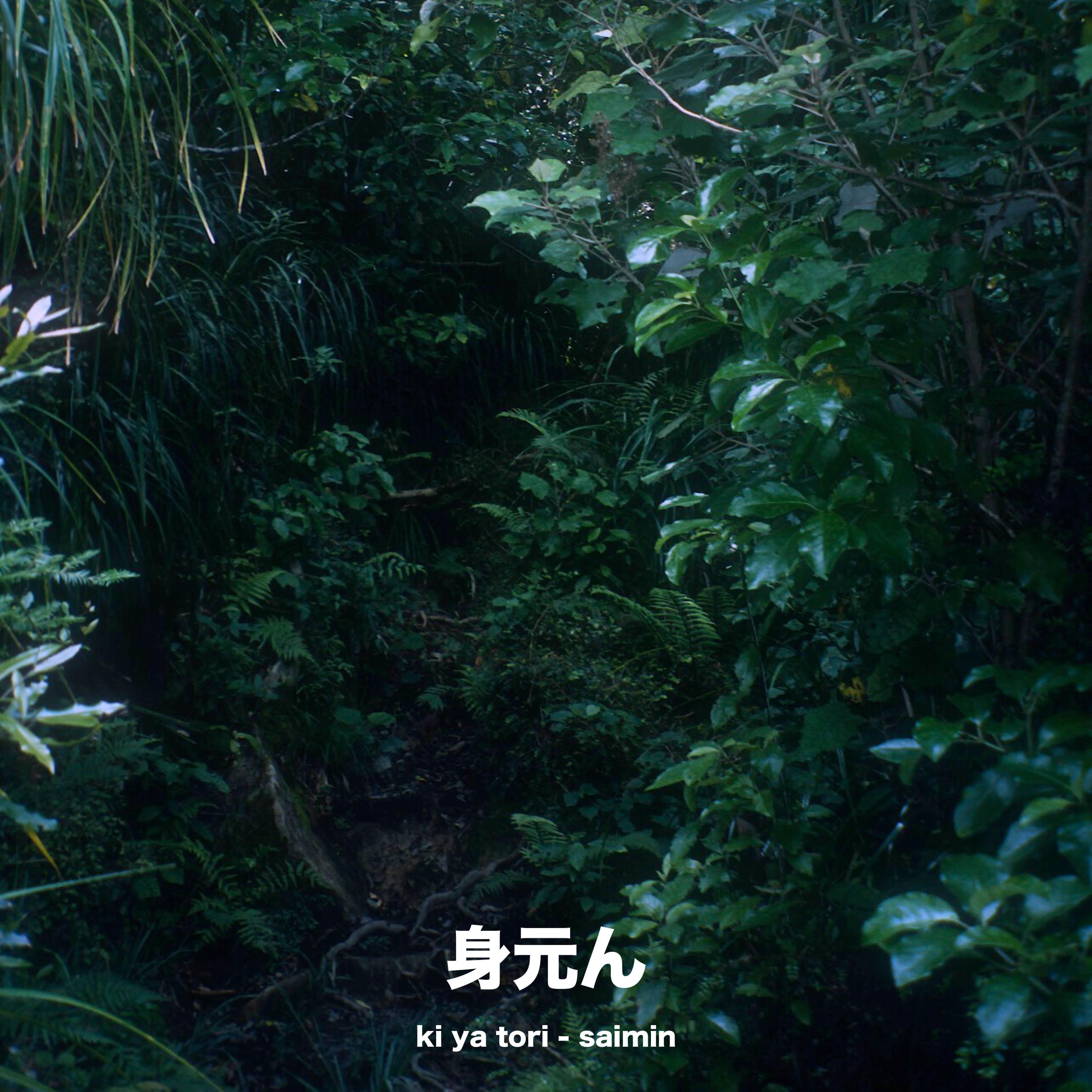 Релиз saimin