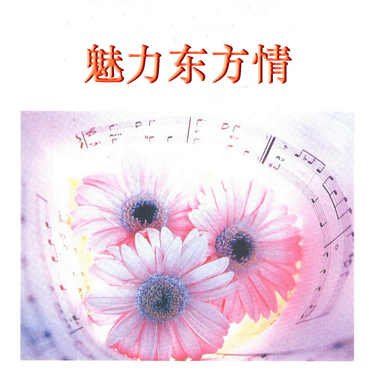Релиз 魅力东方情