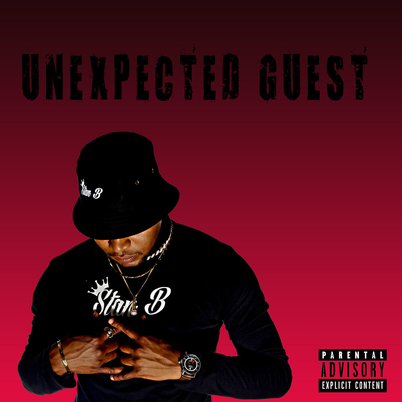 Релиз Unexpected Guest
