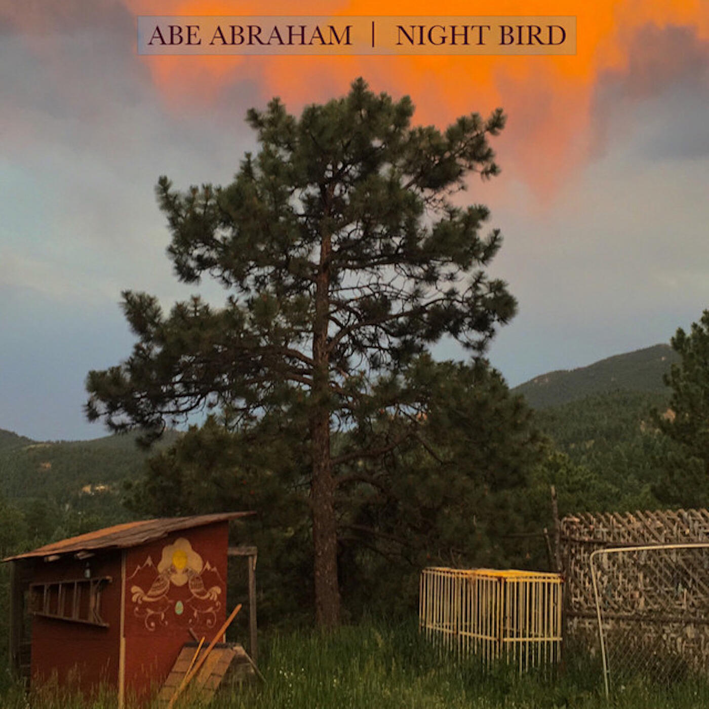 Релиз Night Bird