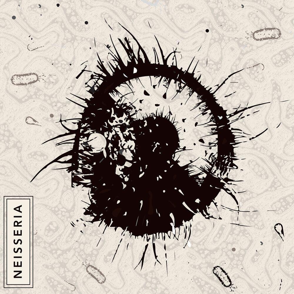 Релиз Neisseria