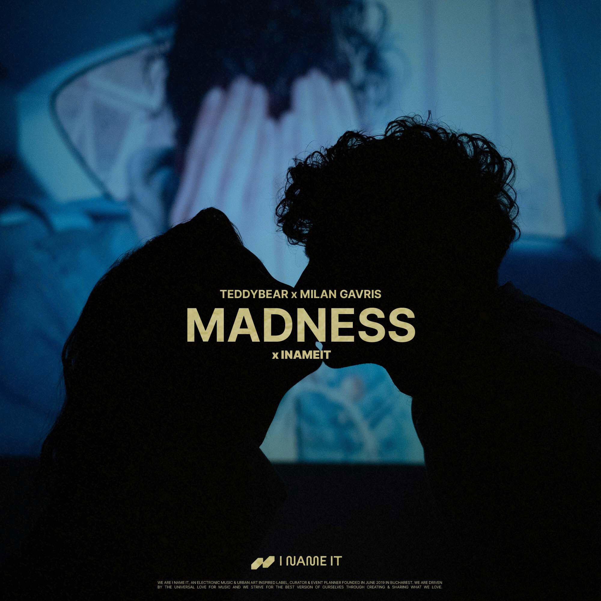 Постер альбома Madness