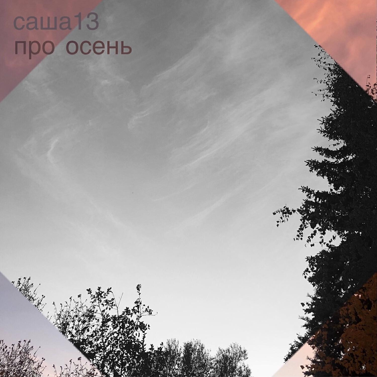 Саша13
