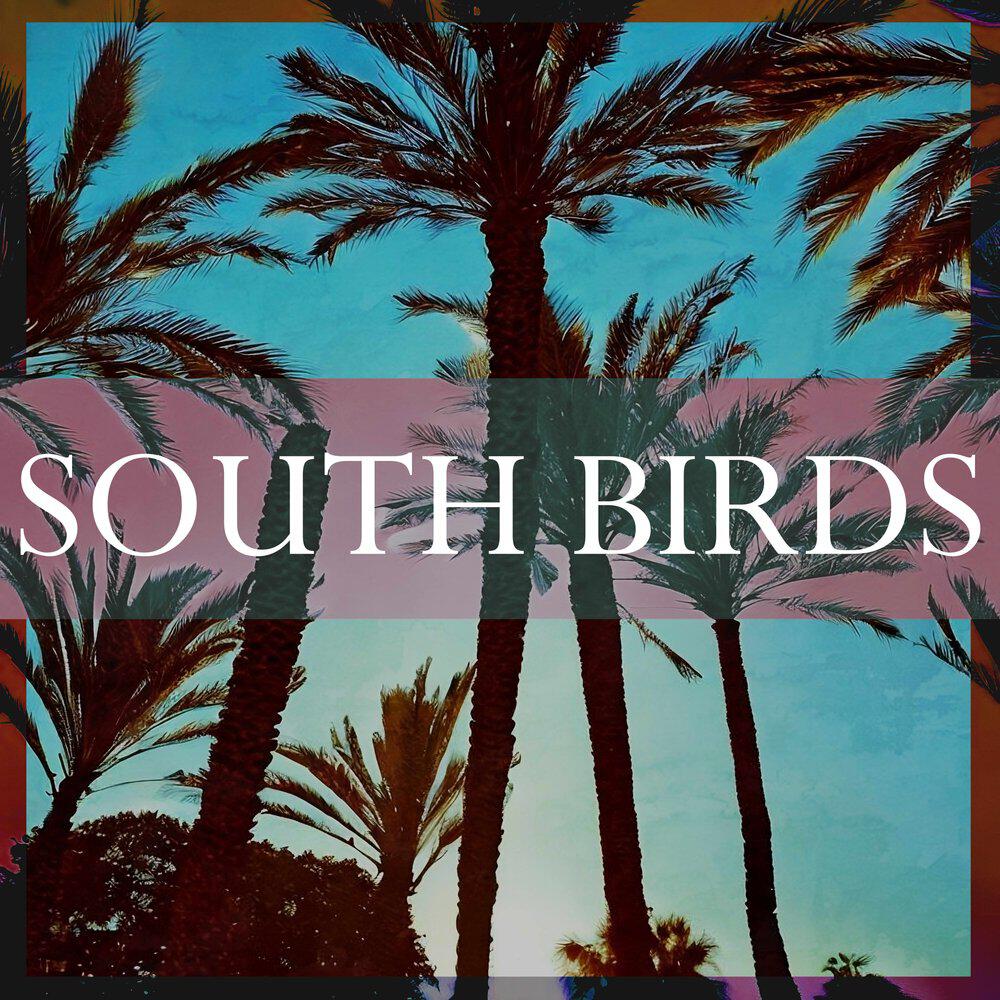 Релиз South Birds (Radio Edit)
