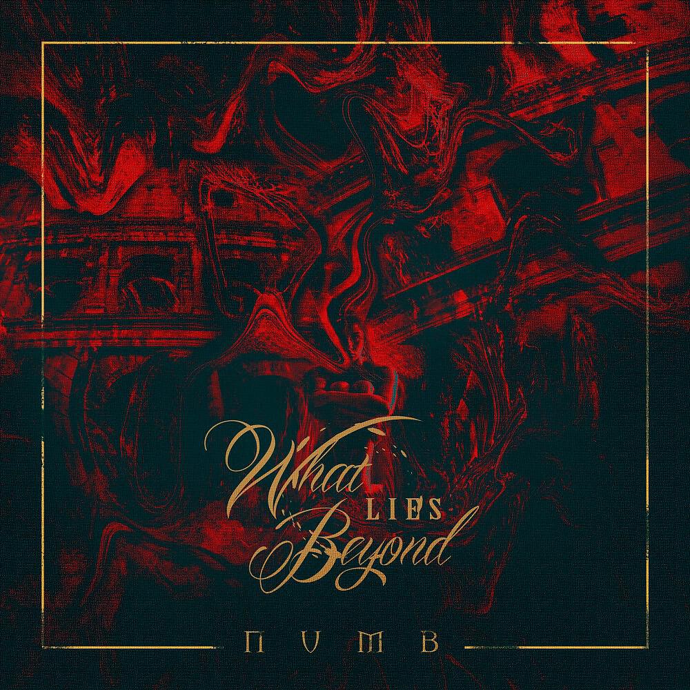 Релиз Numb