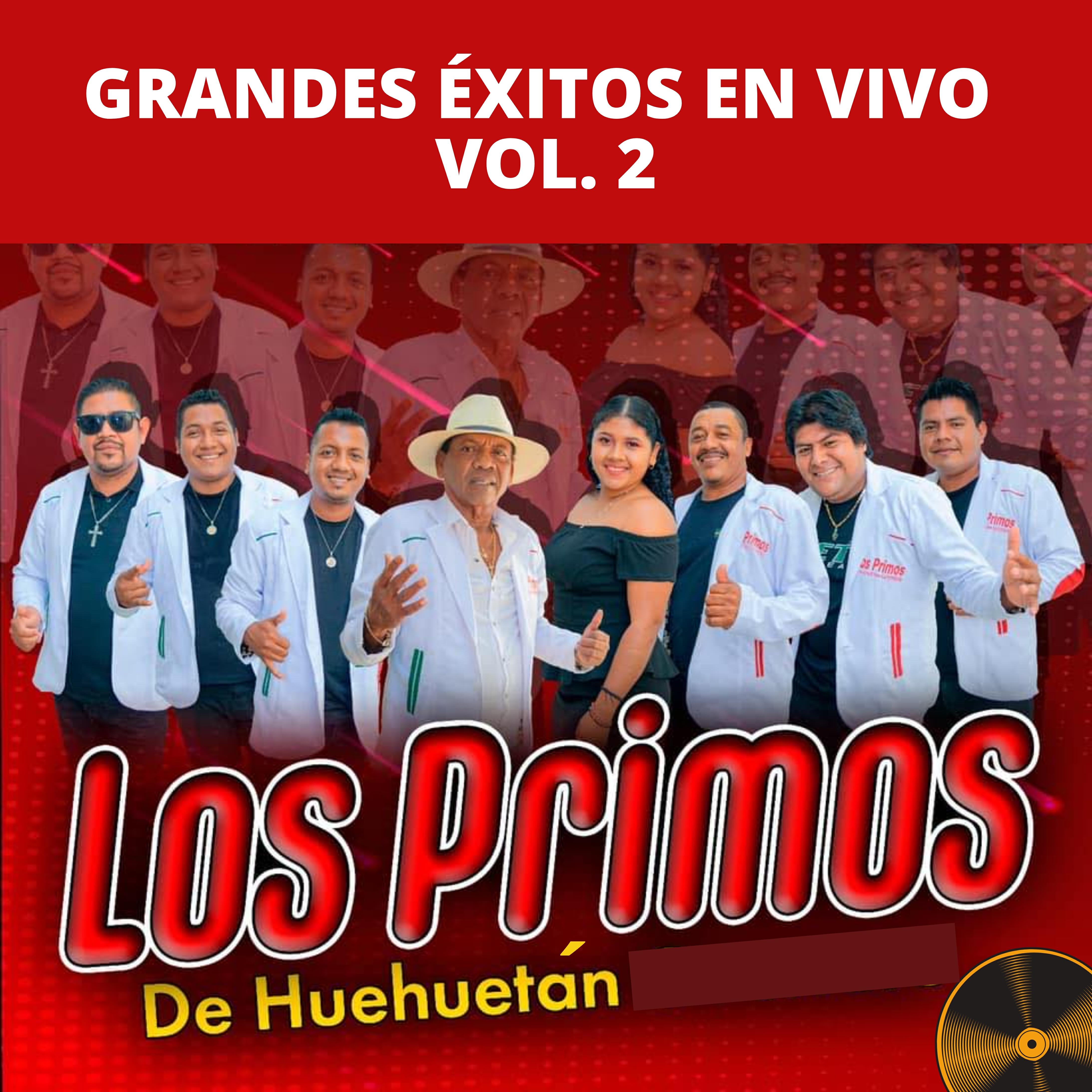 Релиз Grandes Éxitos en Vivo Vol. 2