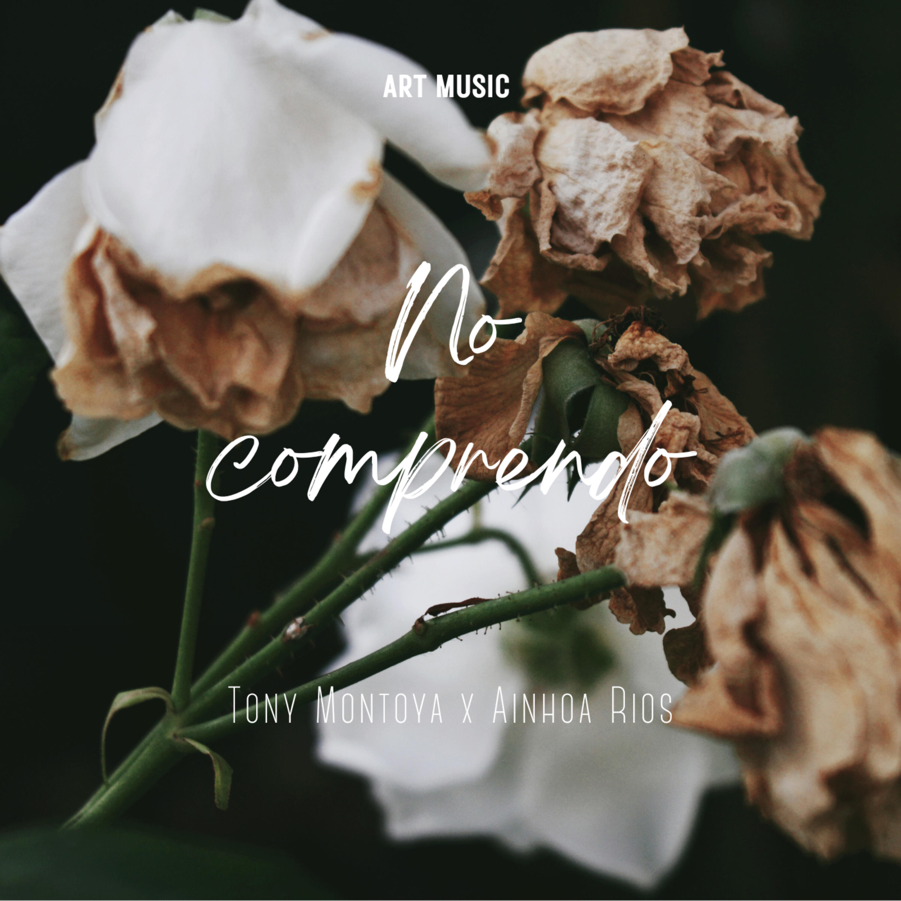 Релиз No Comprendo