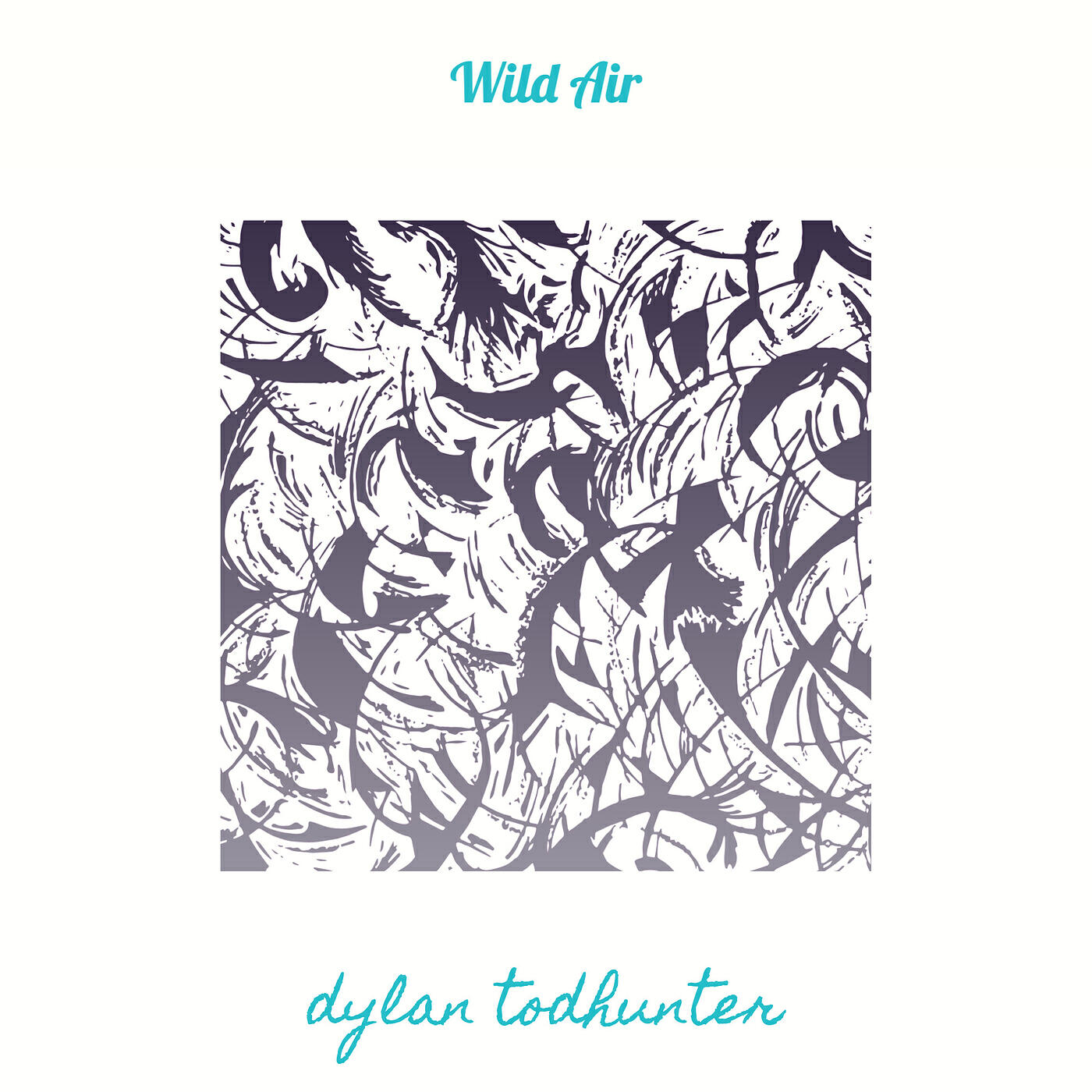 Релиз Wild Air