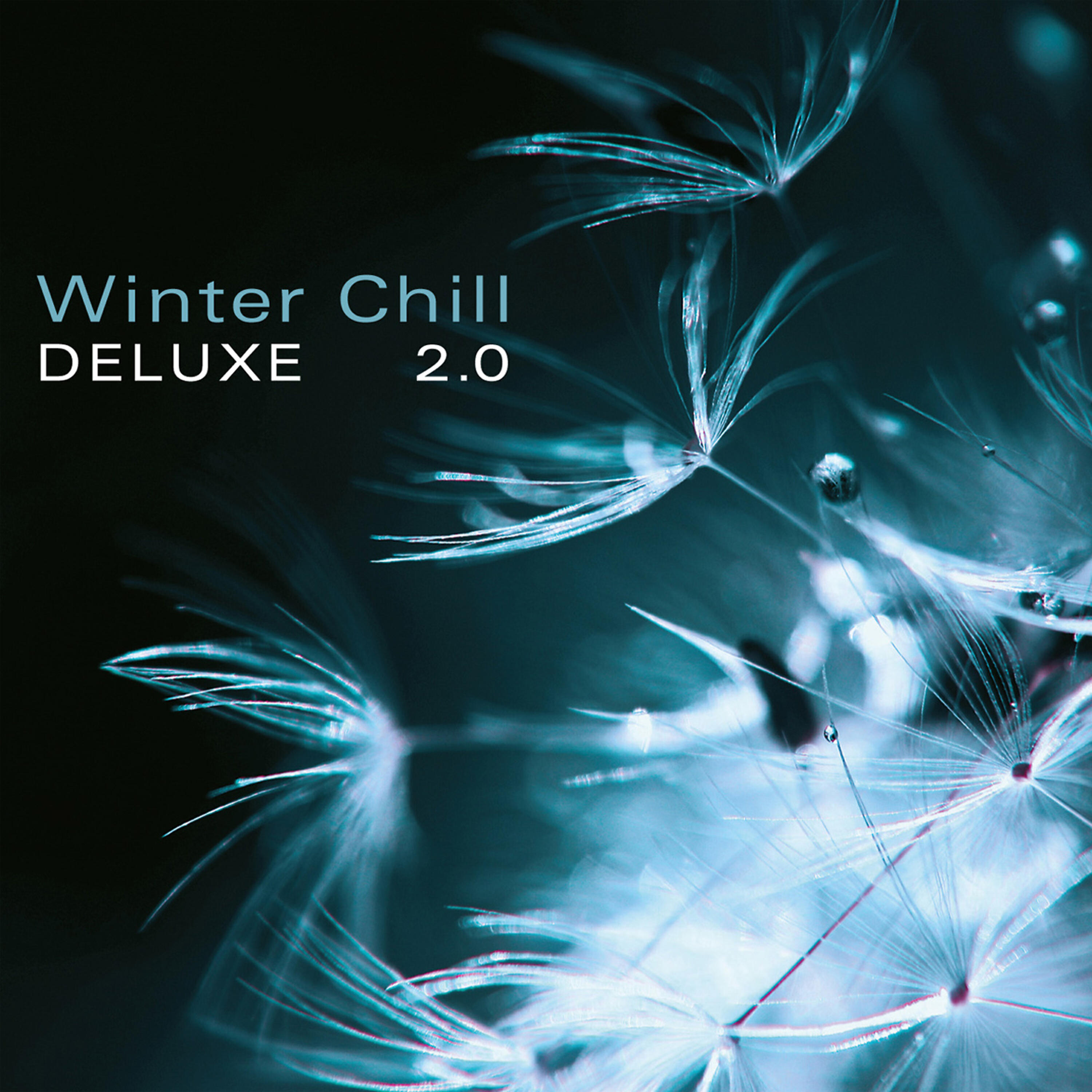 Релиз Winter Chill Deluxe 2.0