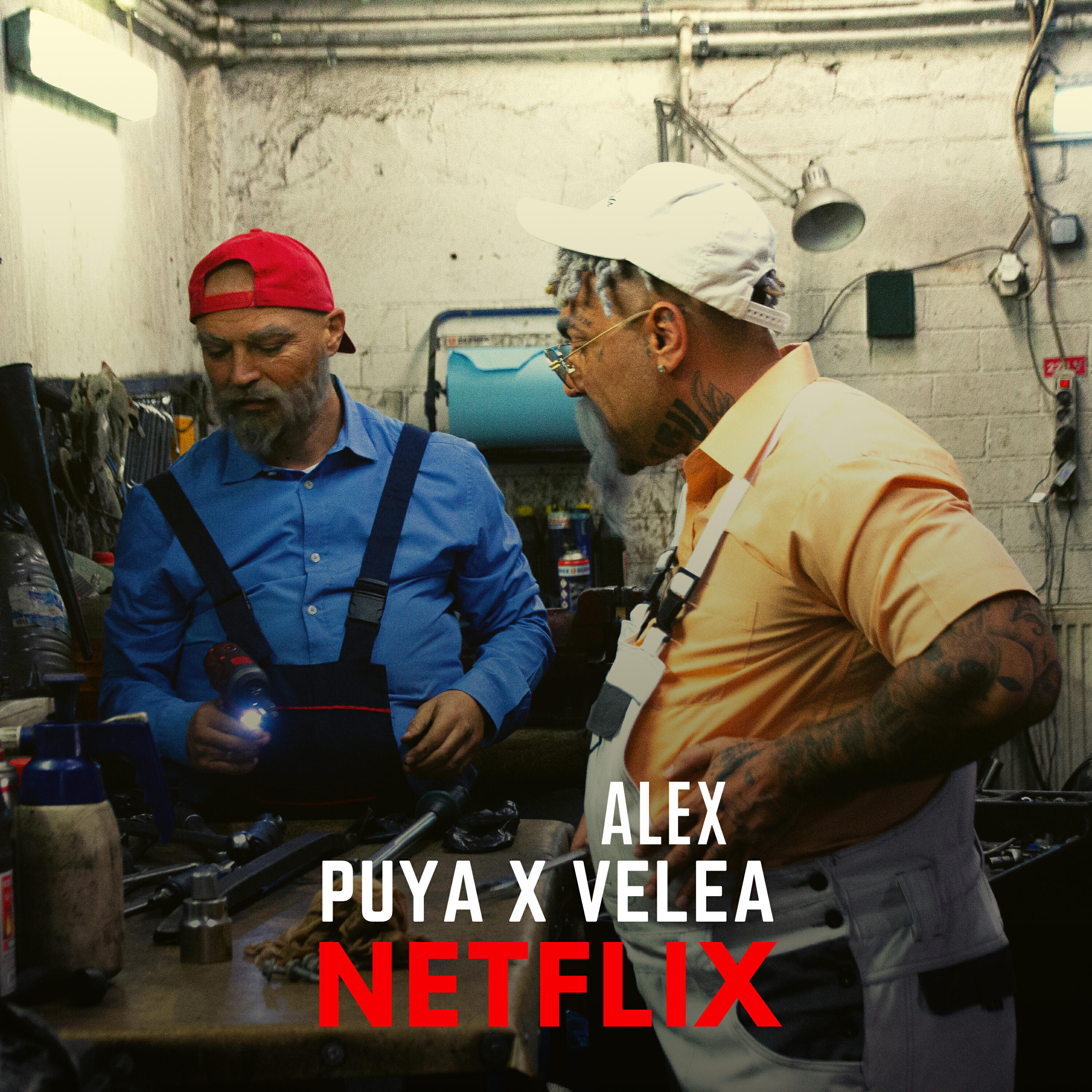 Релиз NETFLIX