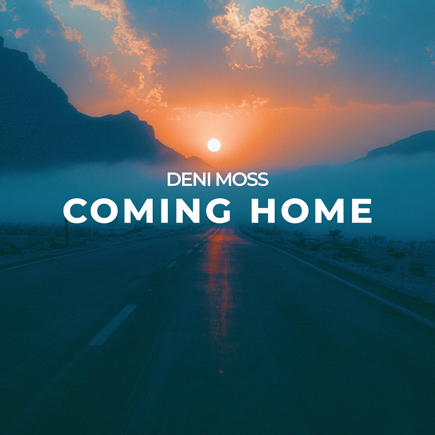 Релиз Coming Home