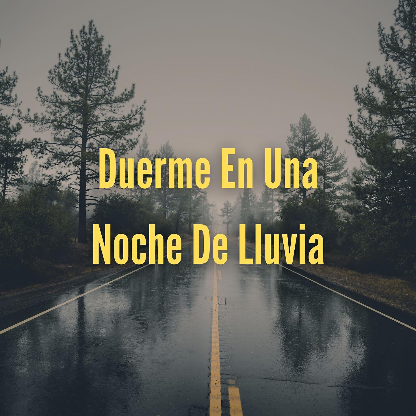 Релиз Duerme En Una Noche De Lluvia