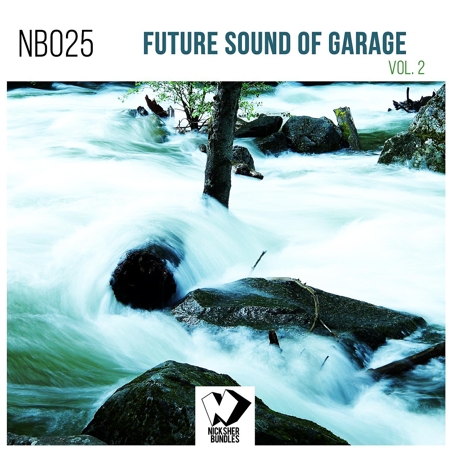 Релиз Future Sound of Garage, Vol. 2
