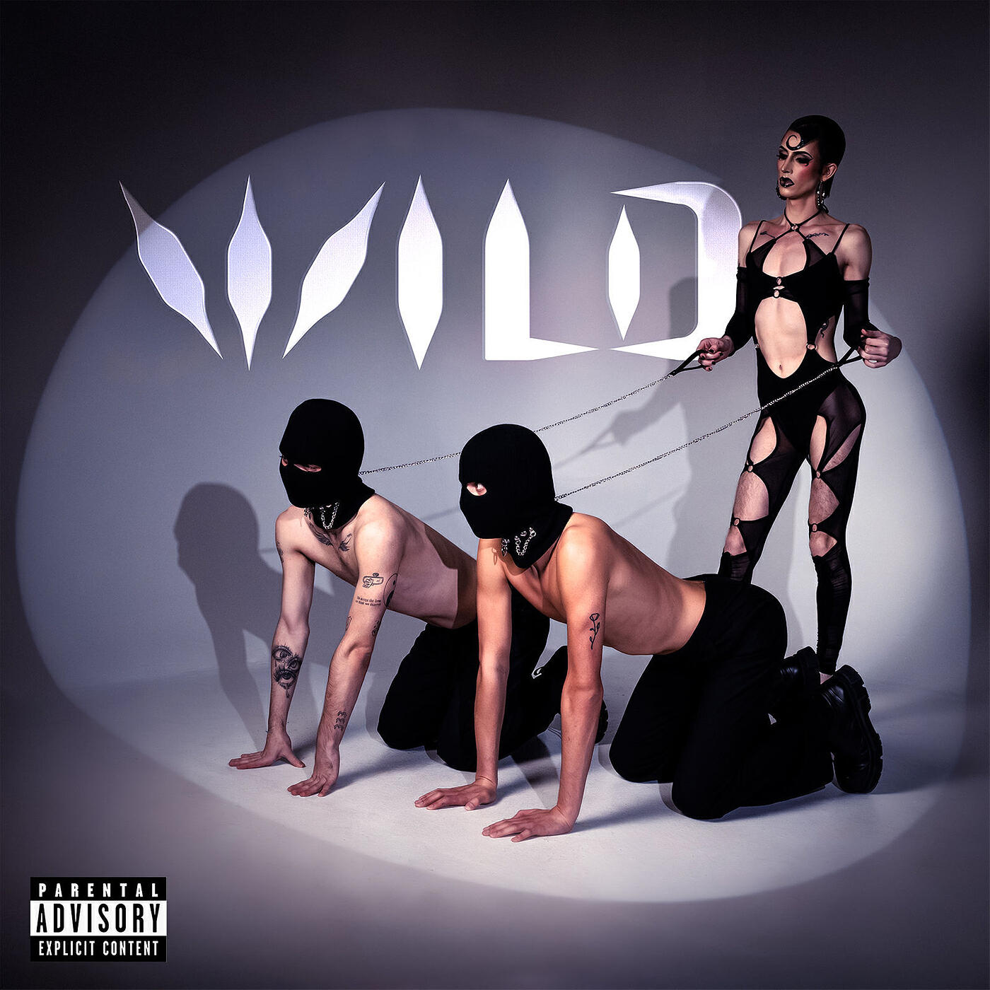 Релиз Wild