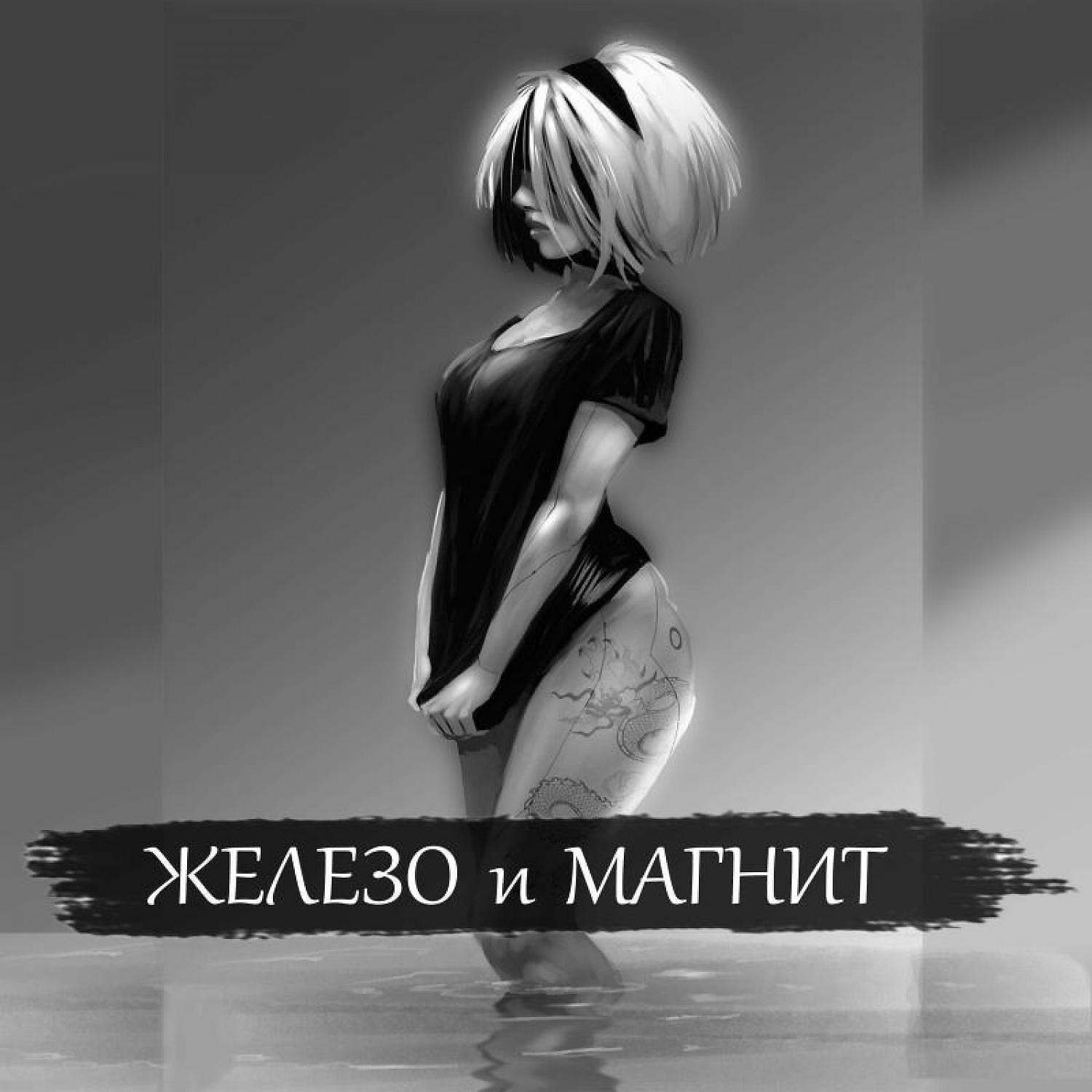 Постер альбома Железо и Магнит 