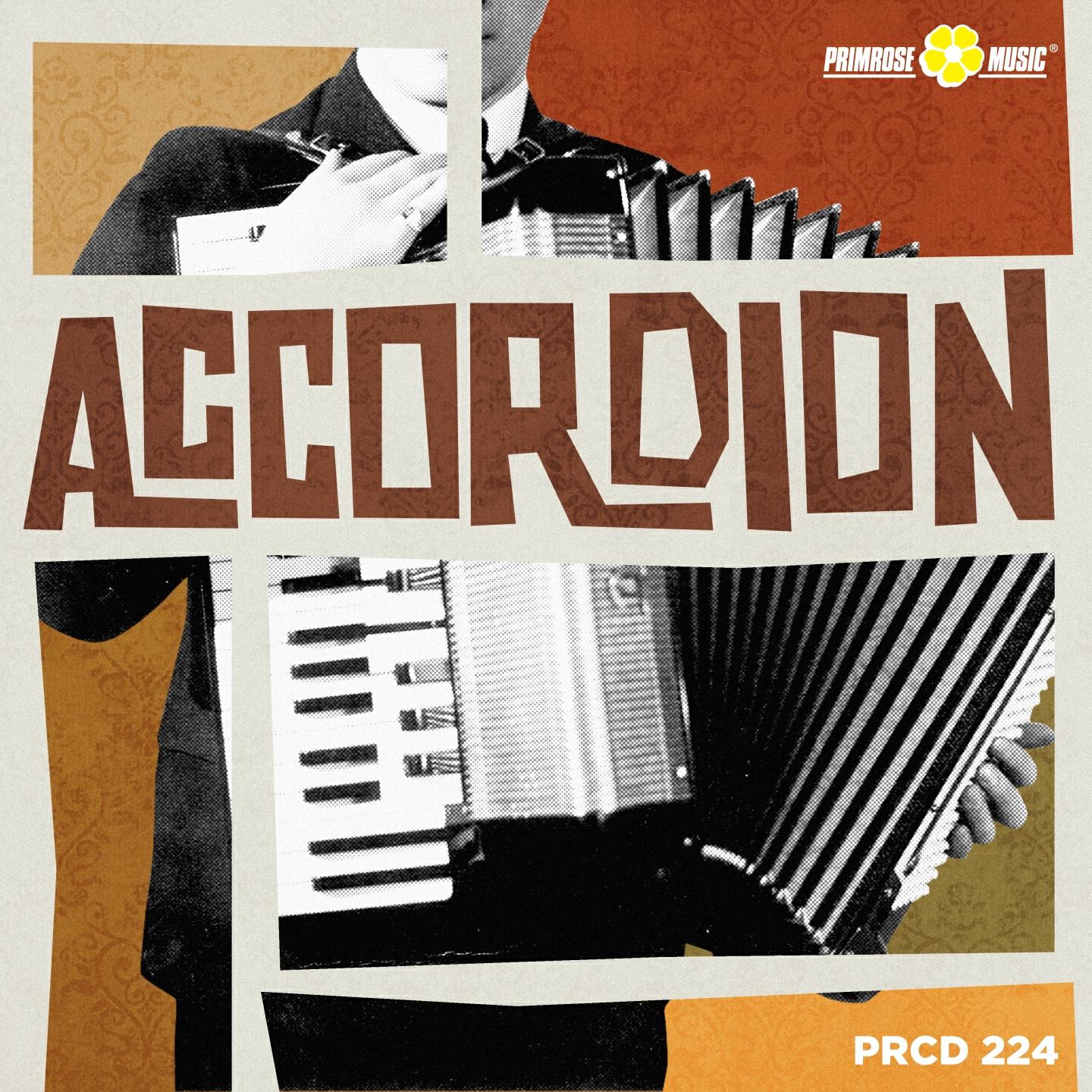 Релиз Accordion