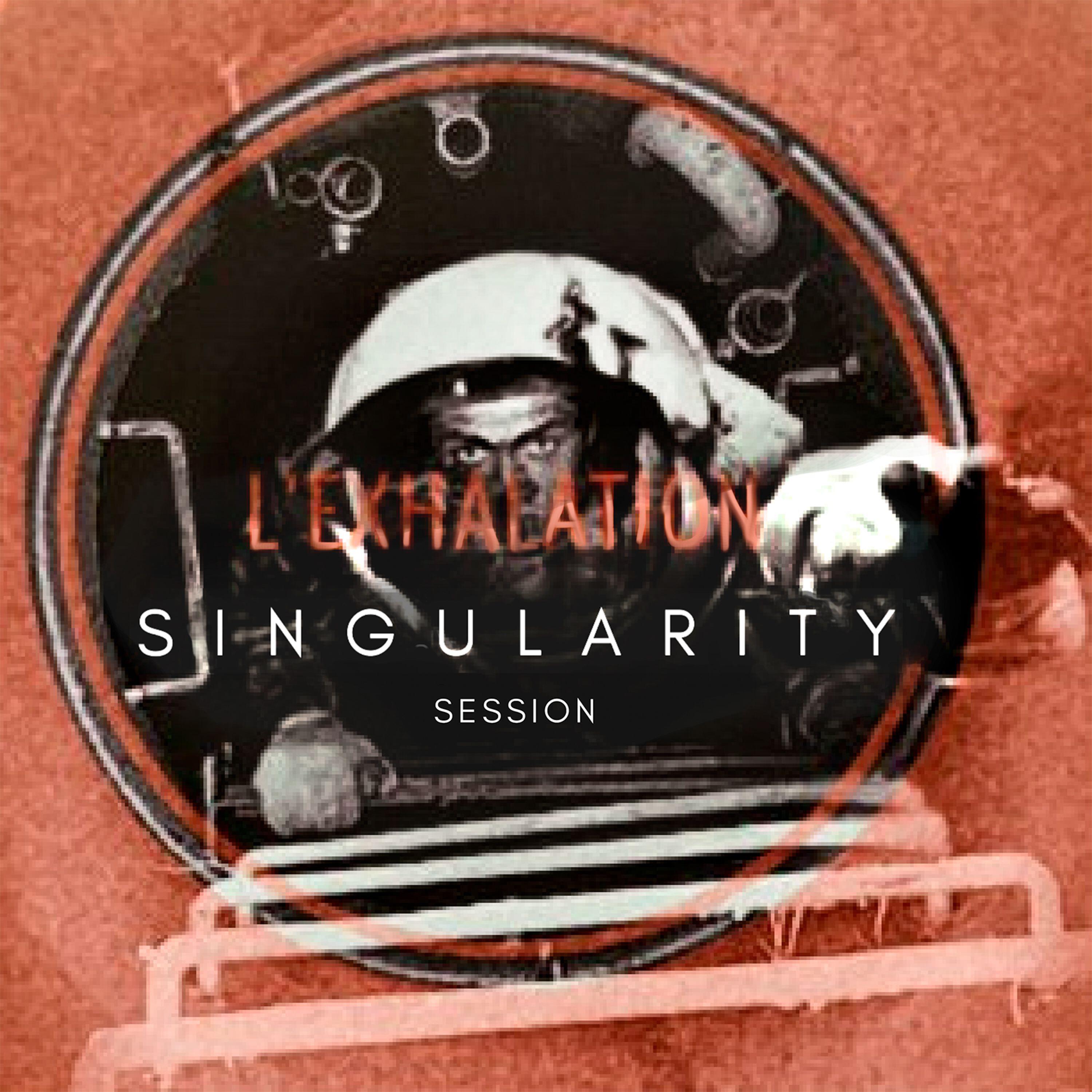 Релиз Singularity session