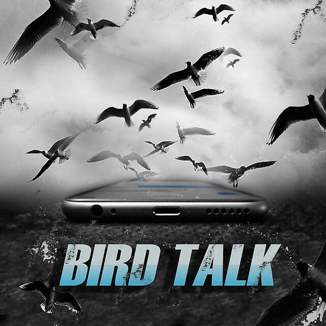 Релиз Bird Talk