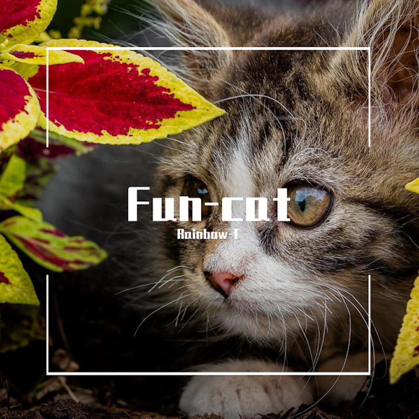 Релиз Fun Cat