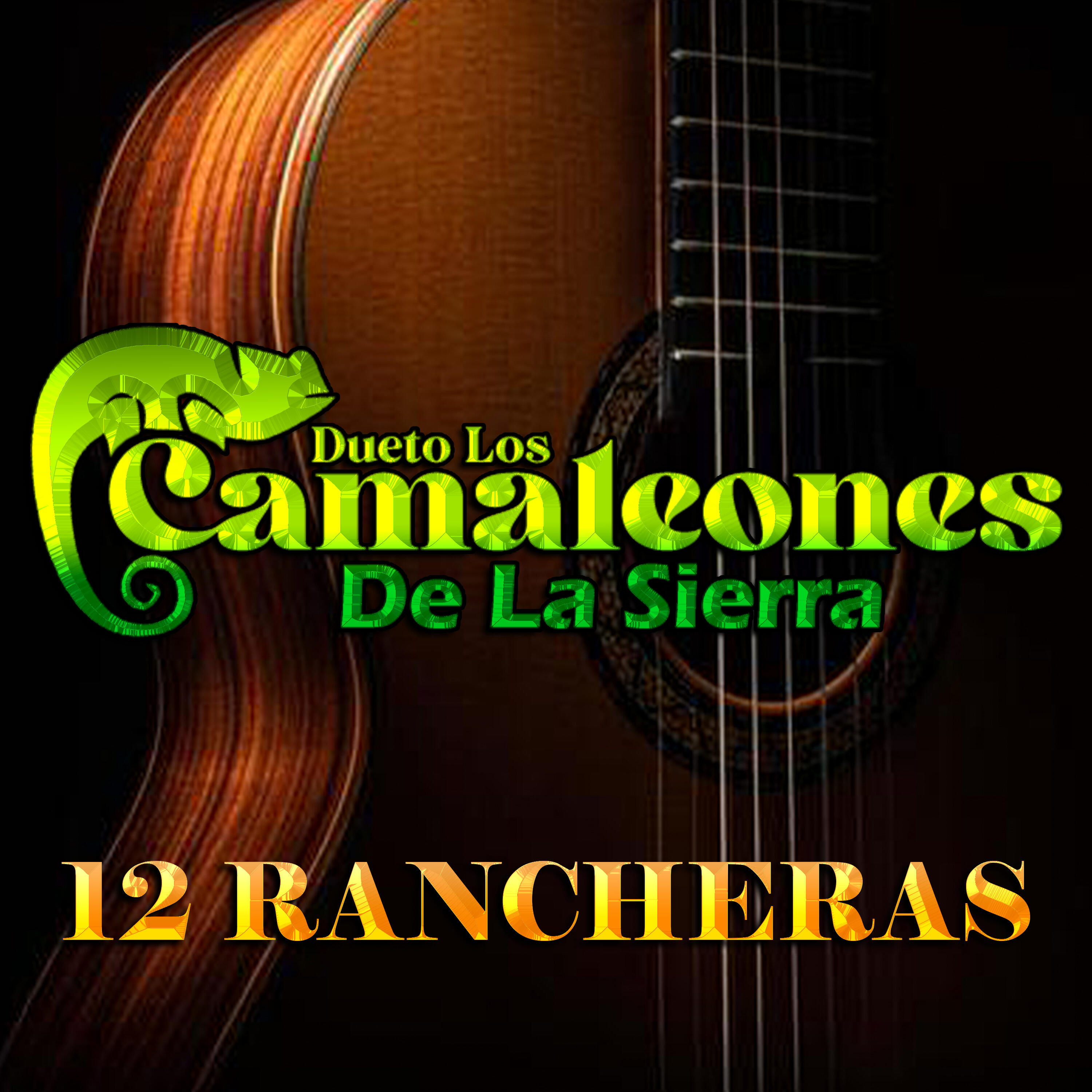 Dueto Los Camaleones De La Sierra