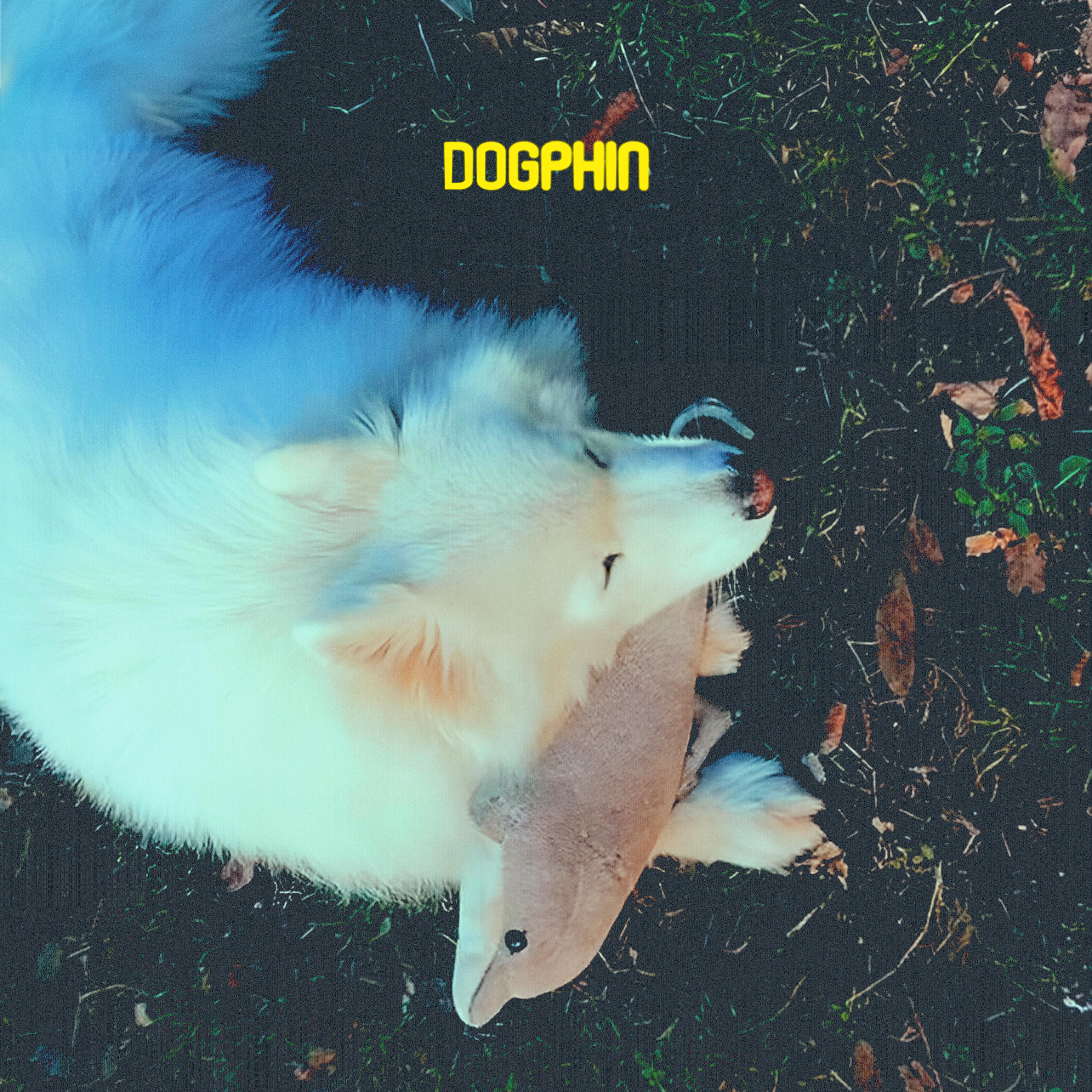 Релиз Dogphin