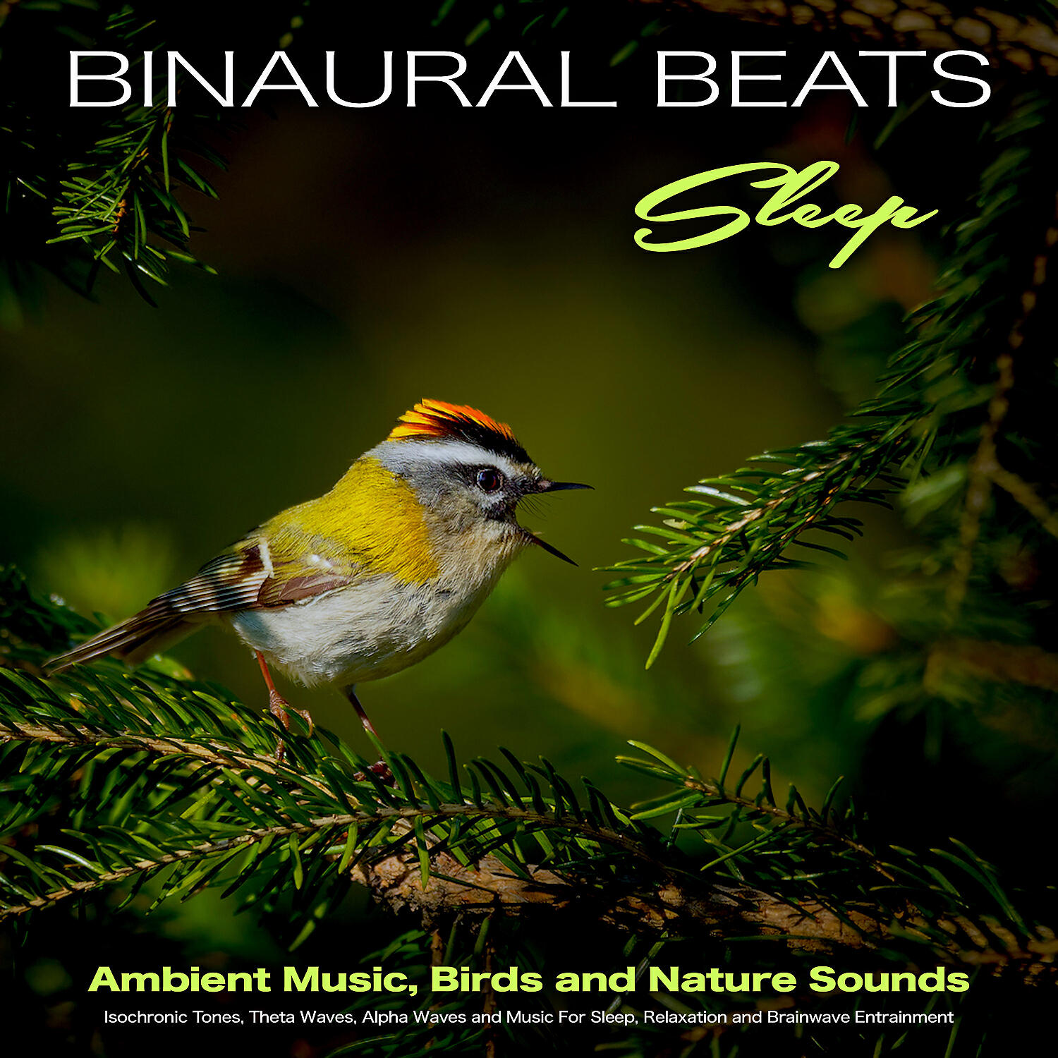 Постер альбома Binaural Beats Sleep - Ambient Music, Birds and Nature Sounds - Isochronic Tones, Theta Waves, Alpha Waves and Music For Sleep, Relaxation and Brainwave Entrainment