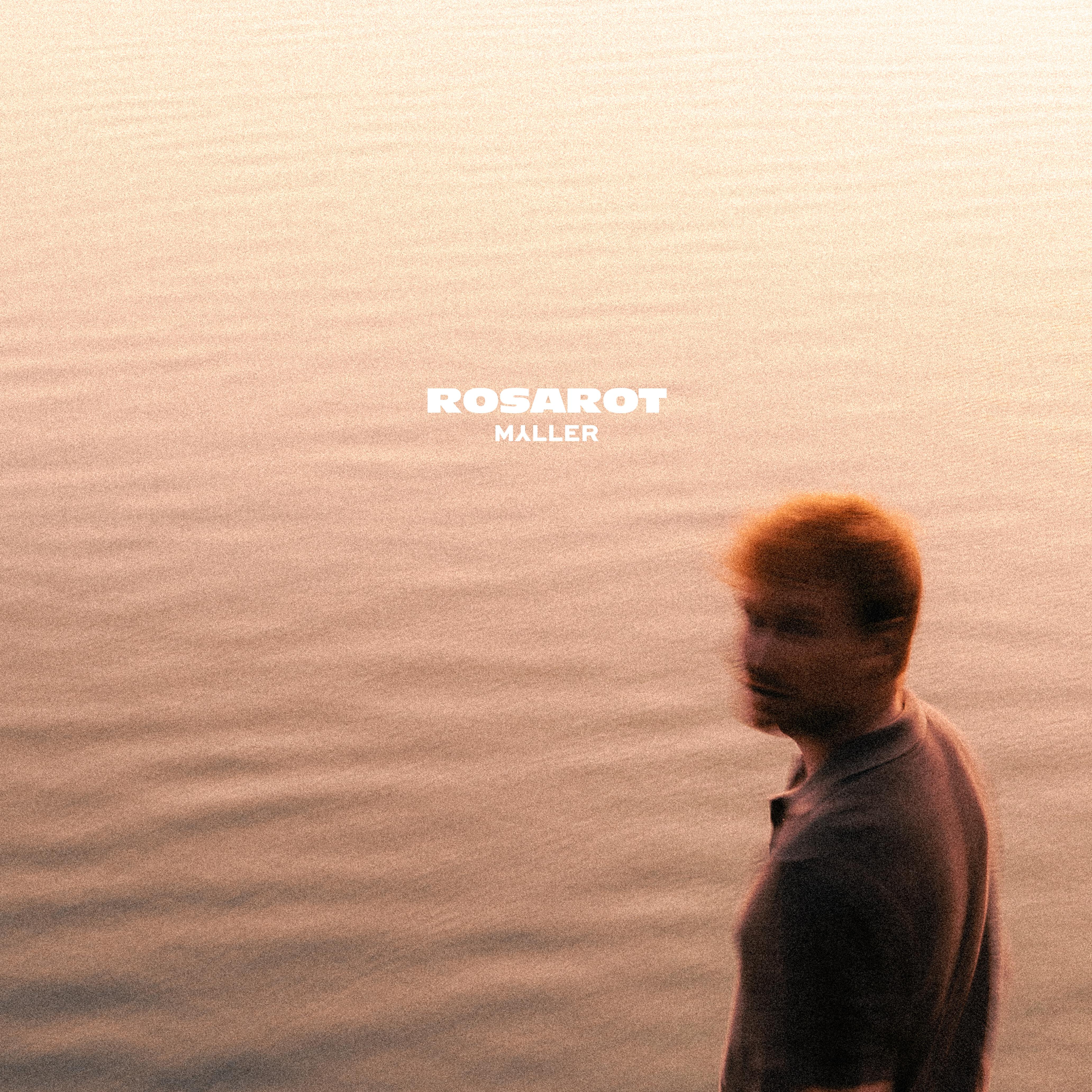 Релиз Rosarot