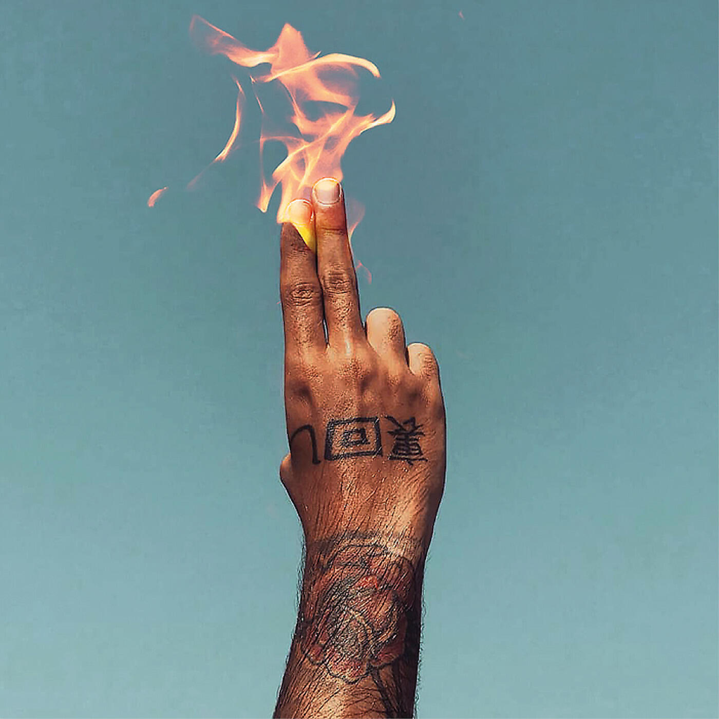 Релиз Micciacorta